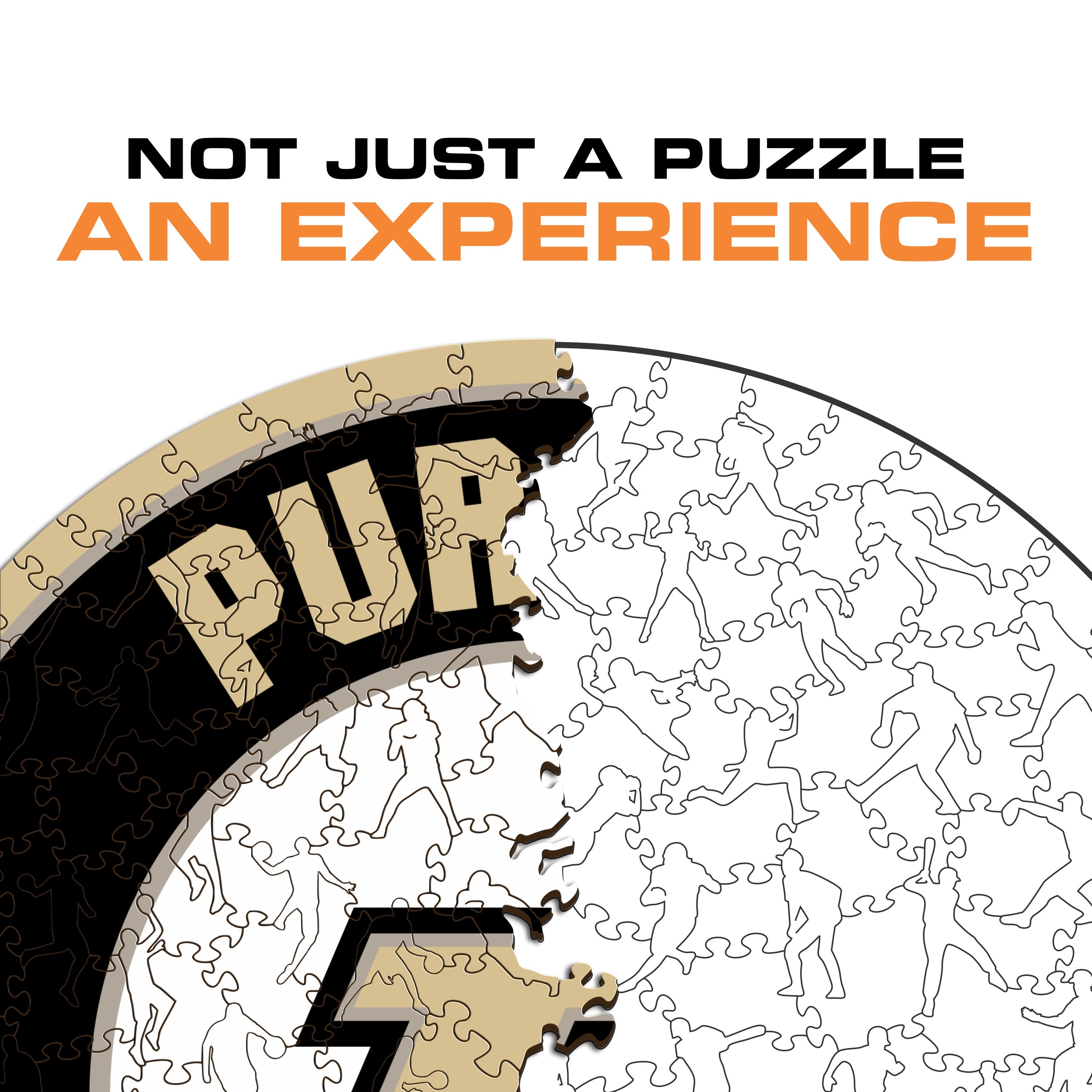 Purdue University - Wooden Puzzle