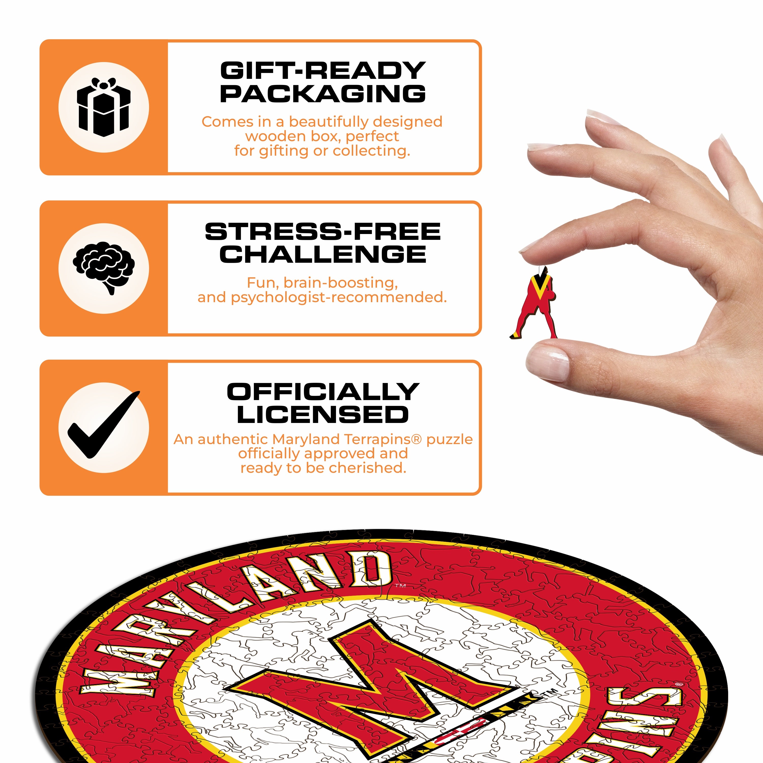 University of Maryland - Wooden Puzzle