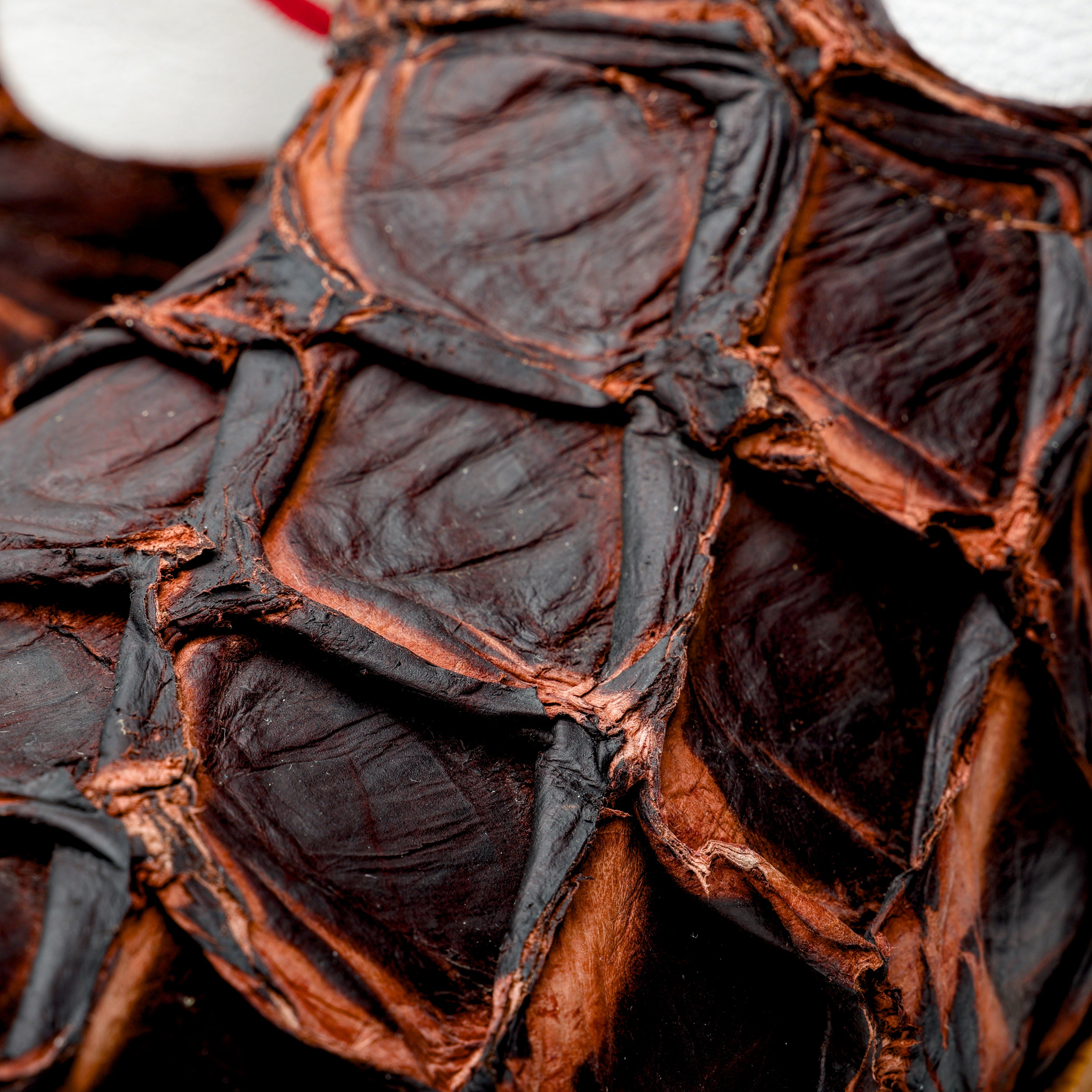 Rustic Brown GENUINE Pirarucu Boots - Square Toe