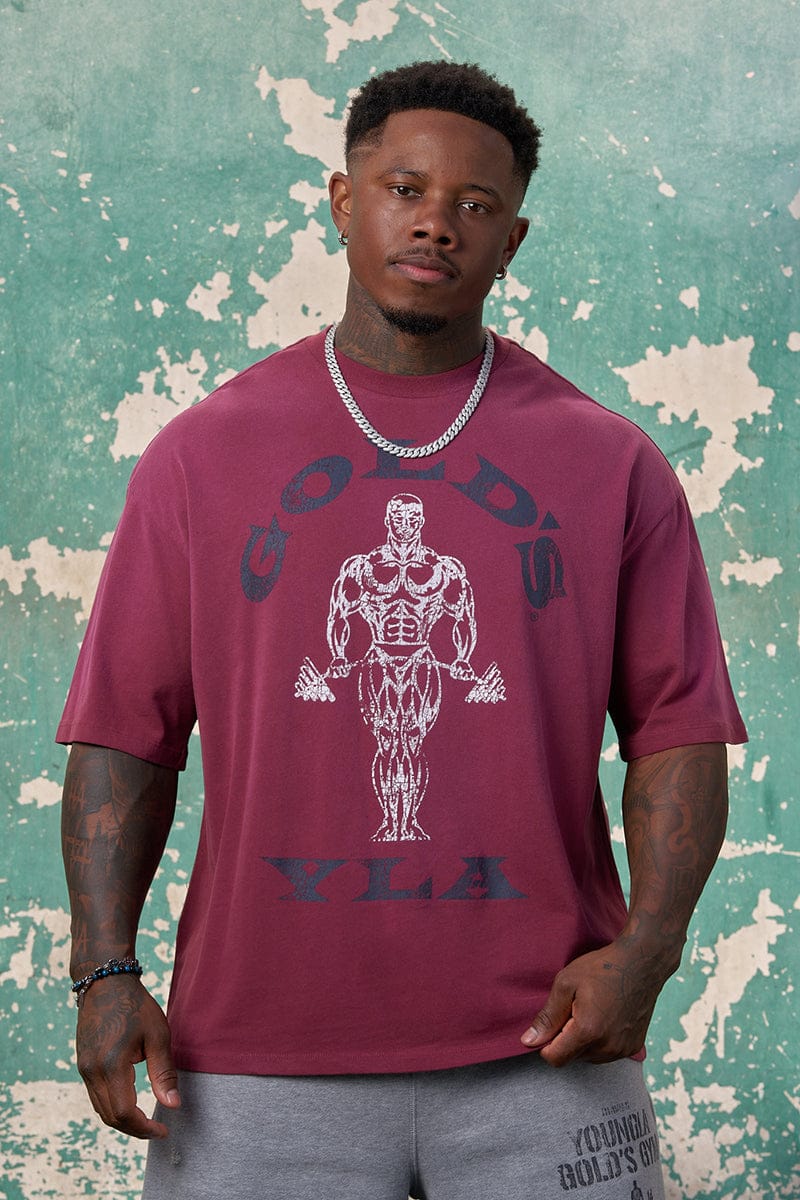 4213 - Gold's Iron Legacy Icon Tees