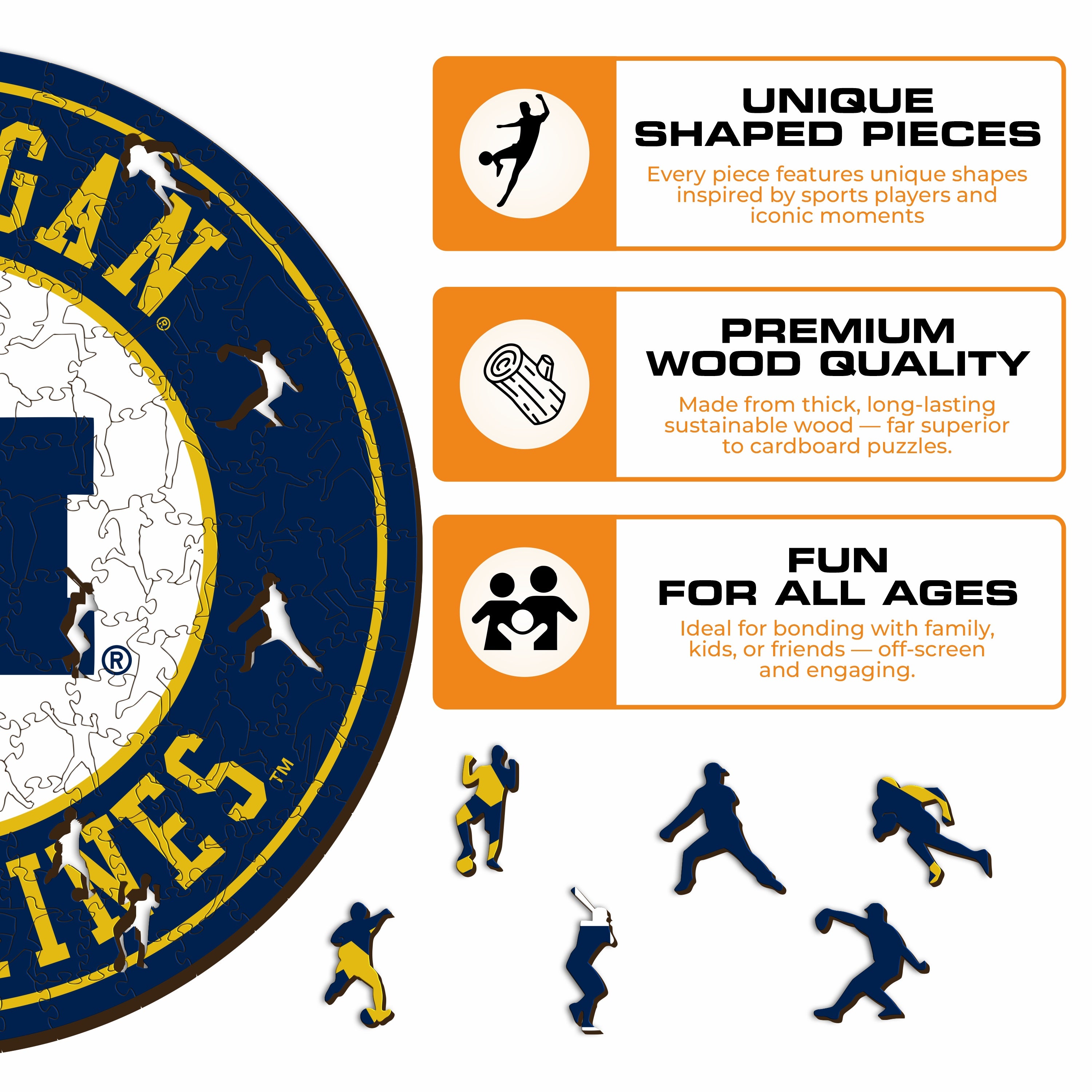 University of Michigan - Wooden Puzzle