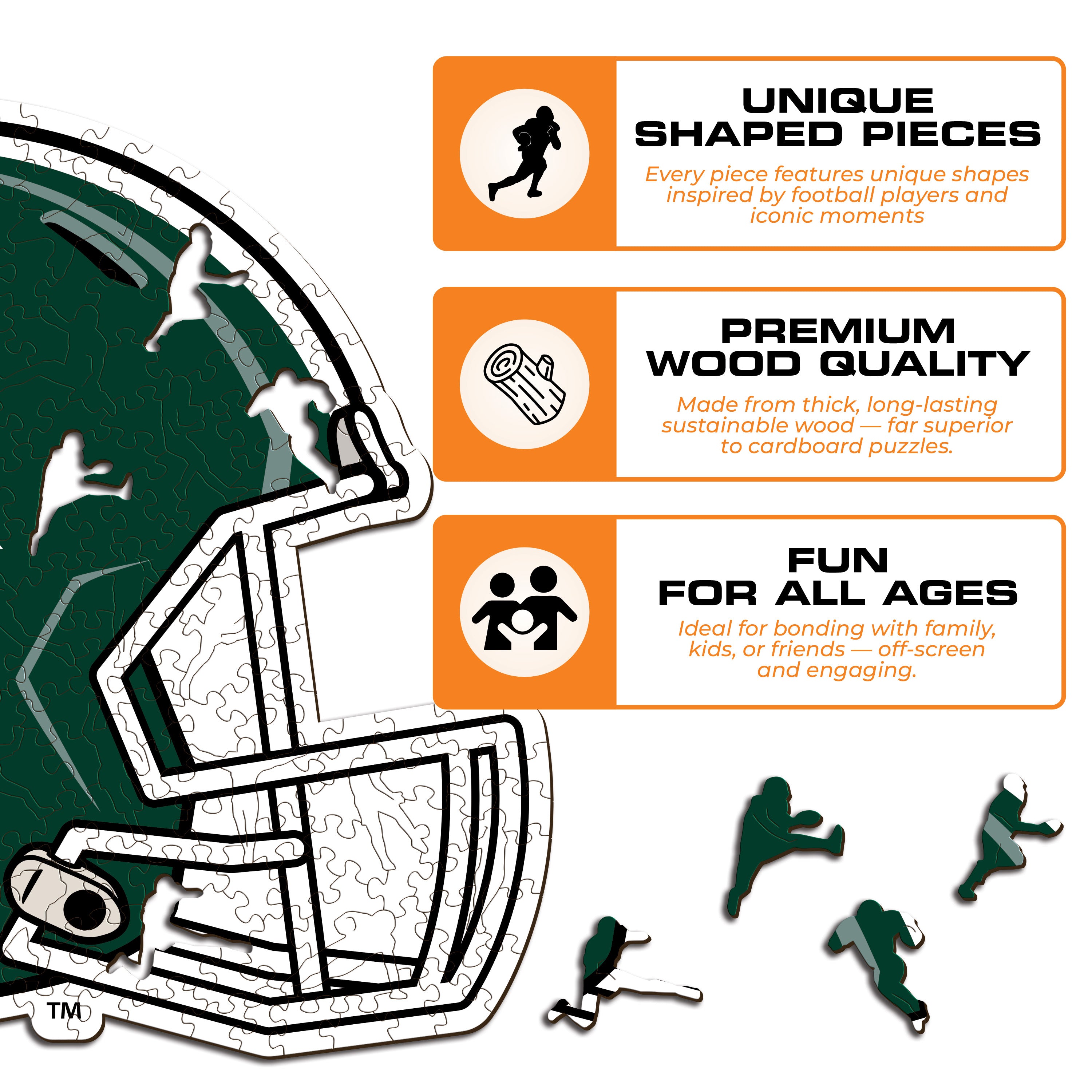 Michigan State University Helmet - Wooden Puzzle