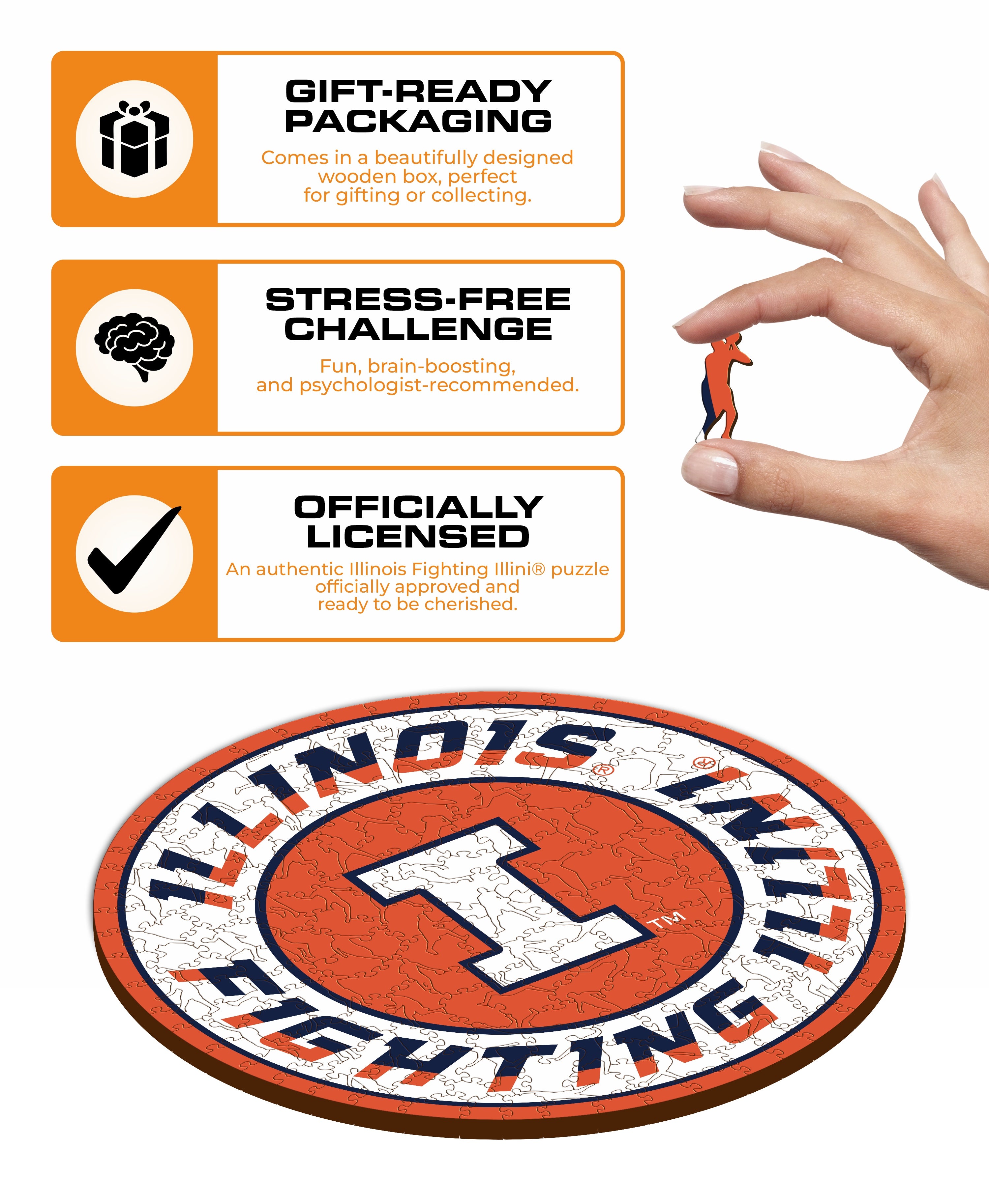 University of Illinois - Wooden Puzzle