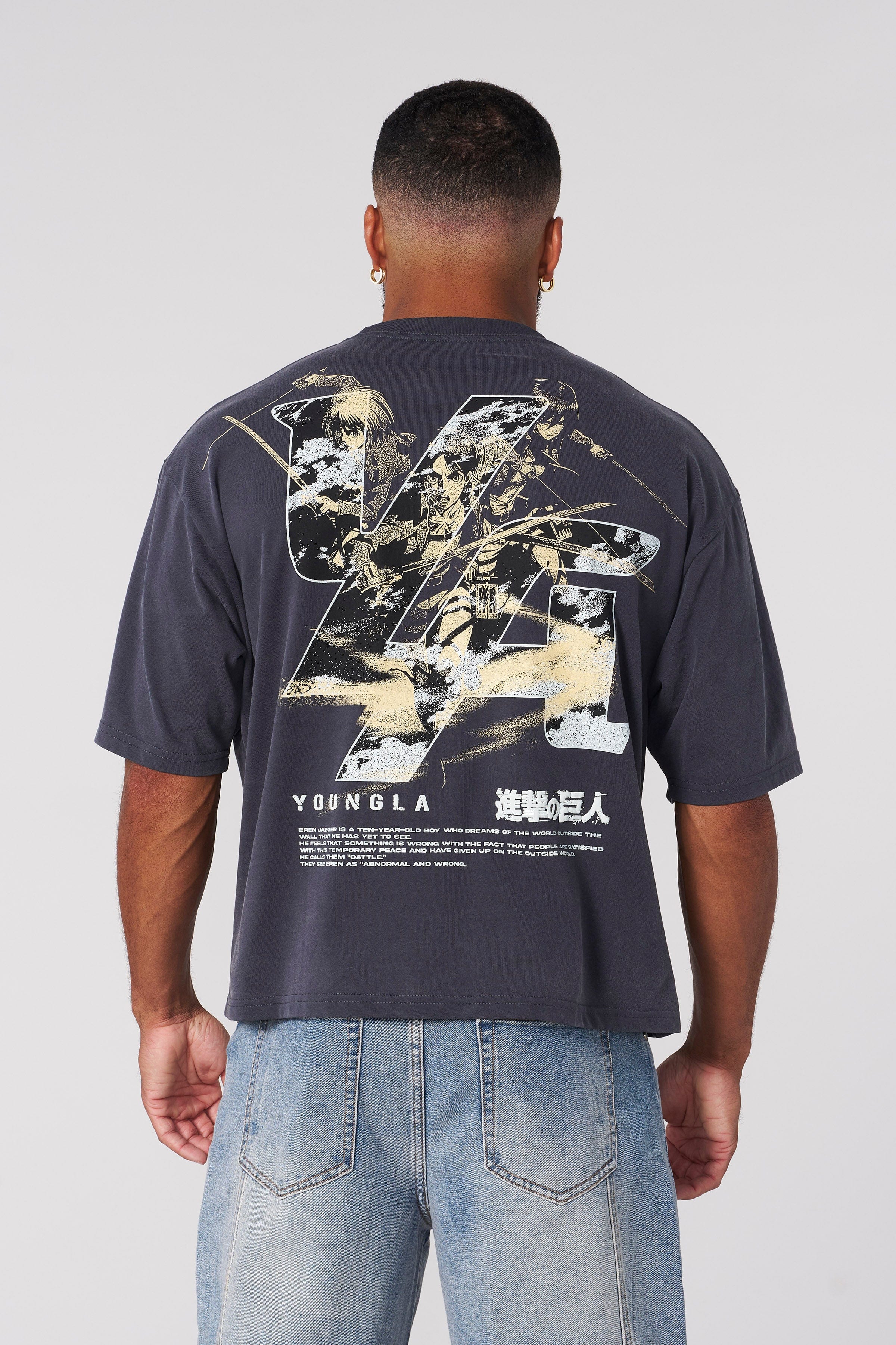 4186 - AOT©  x YLA Cropped Tees