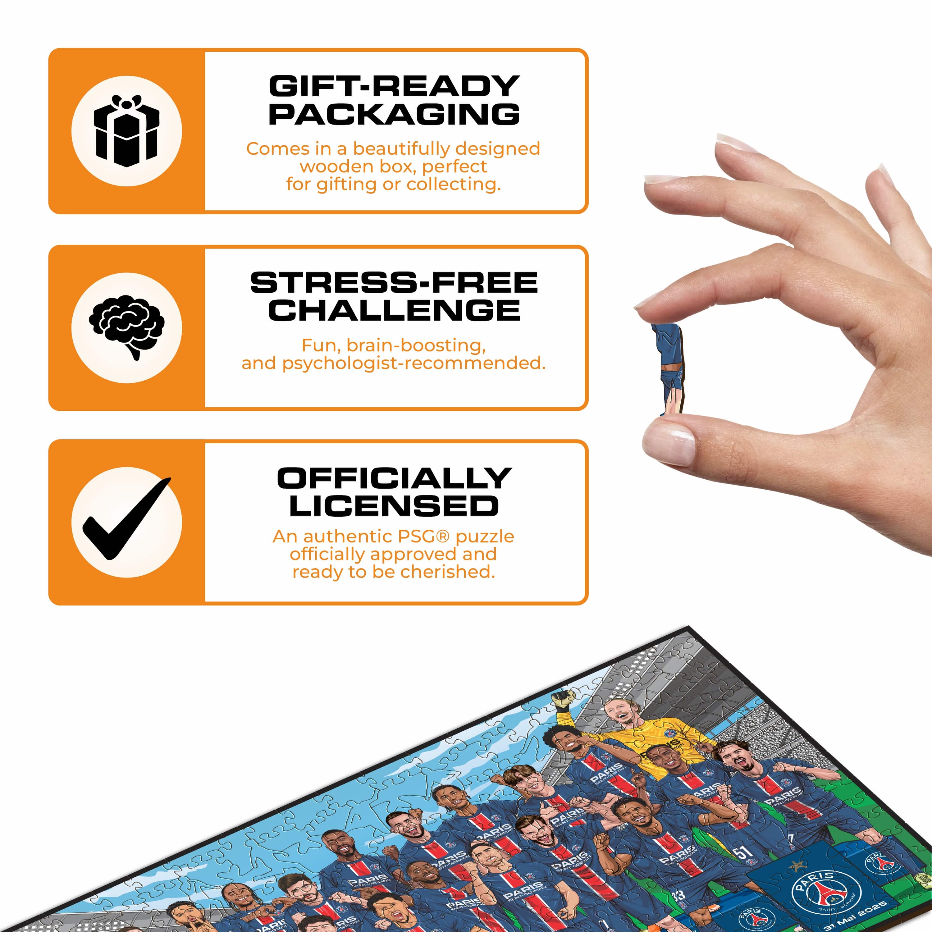 PSG FC® Treble Winners 24/25 - Wooden Puzzle