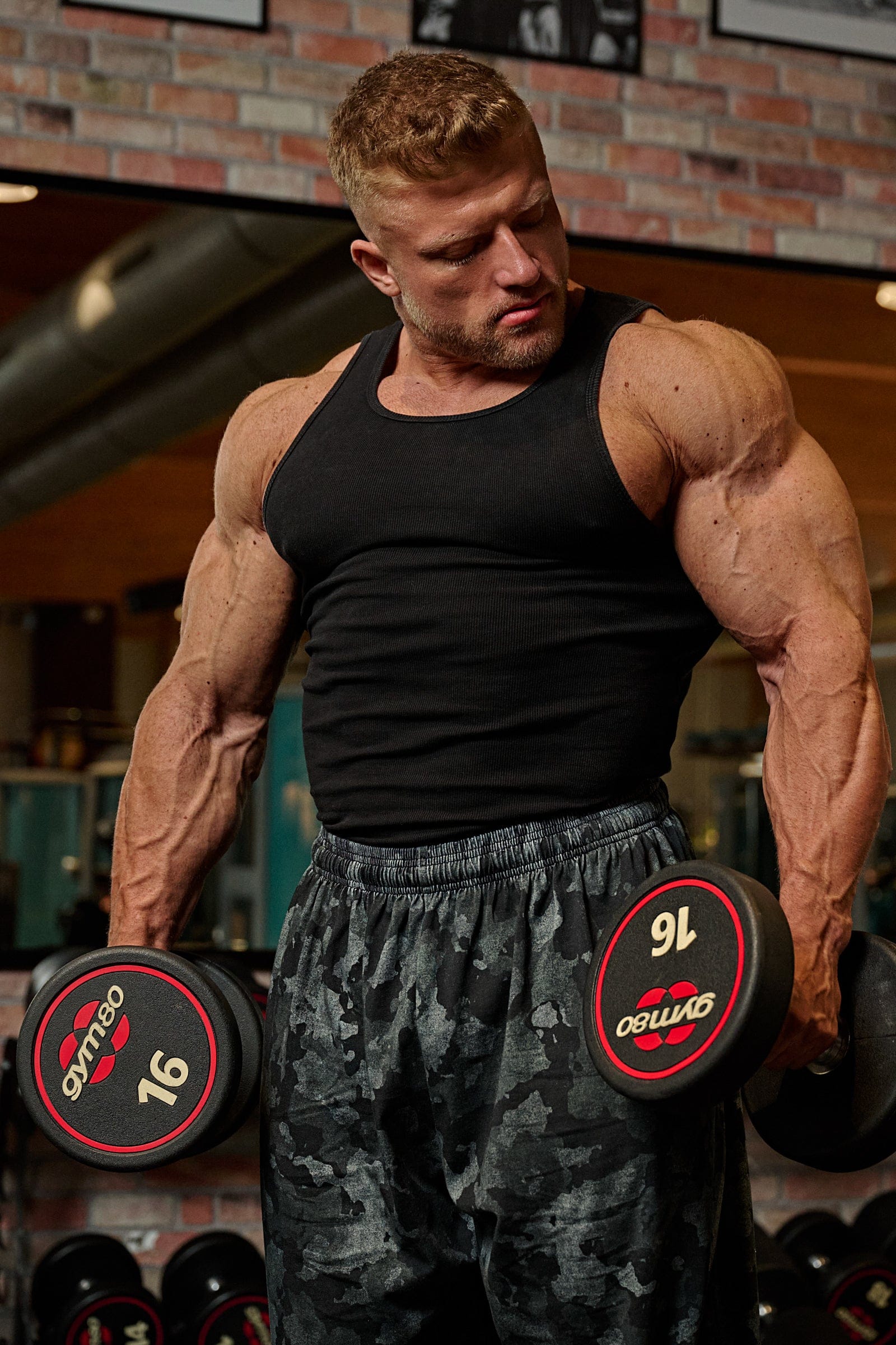 340 Wife Lovers - 3 Pack