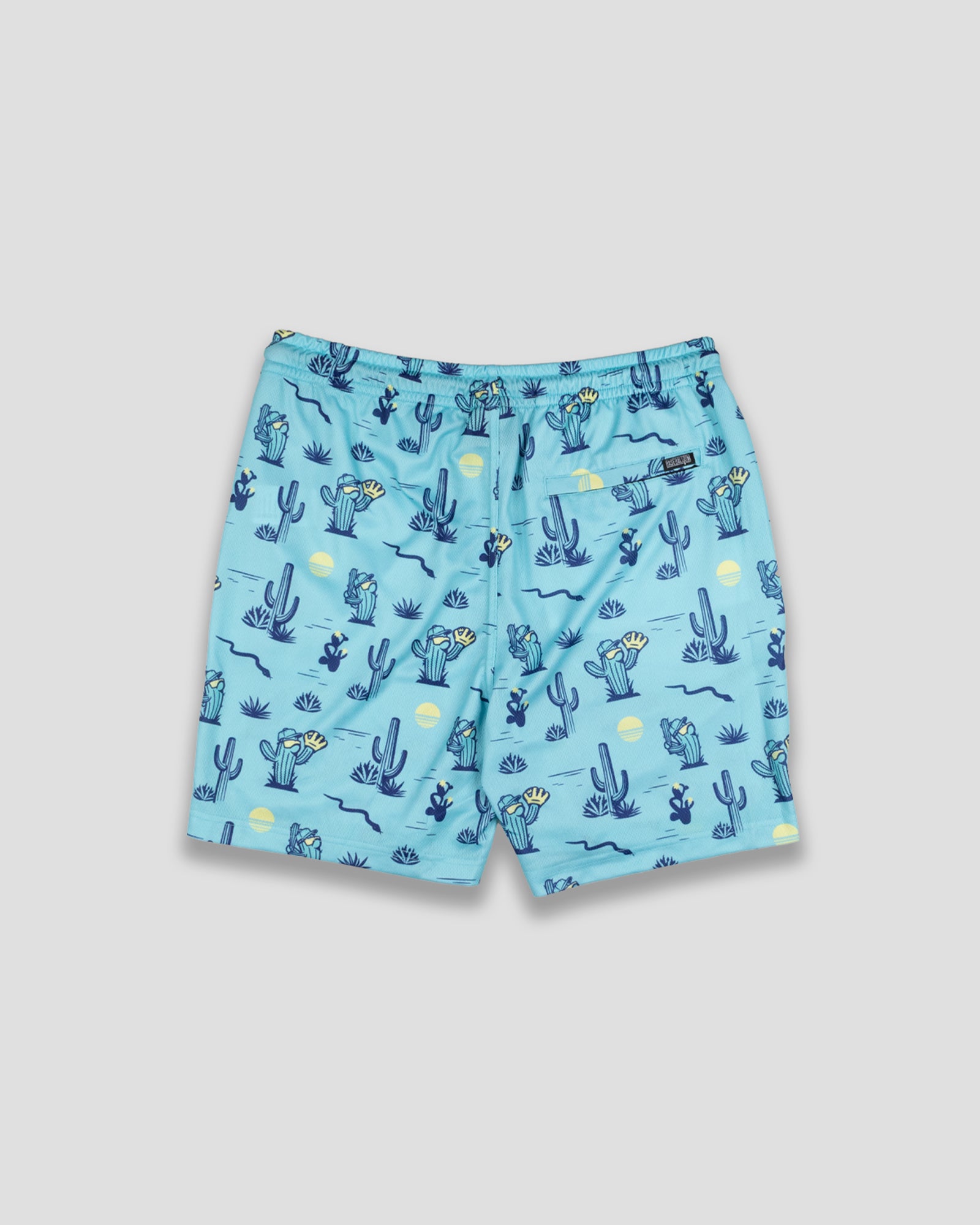 Spring Ball Cactus Diamond Air Mesh Shorts (Teal) - Youth