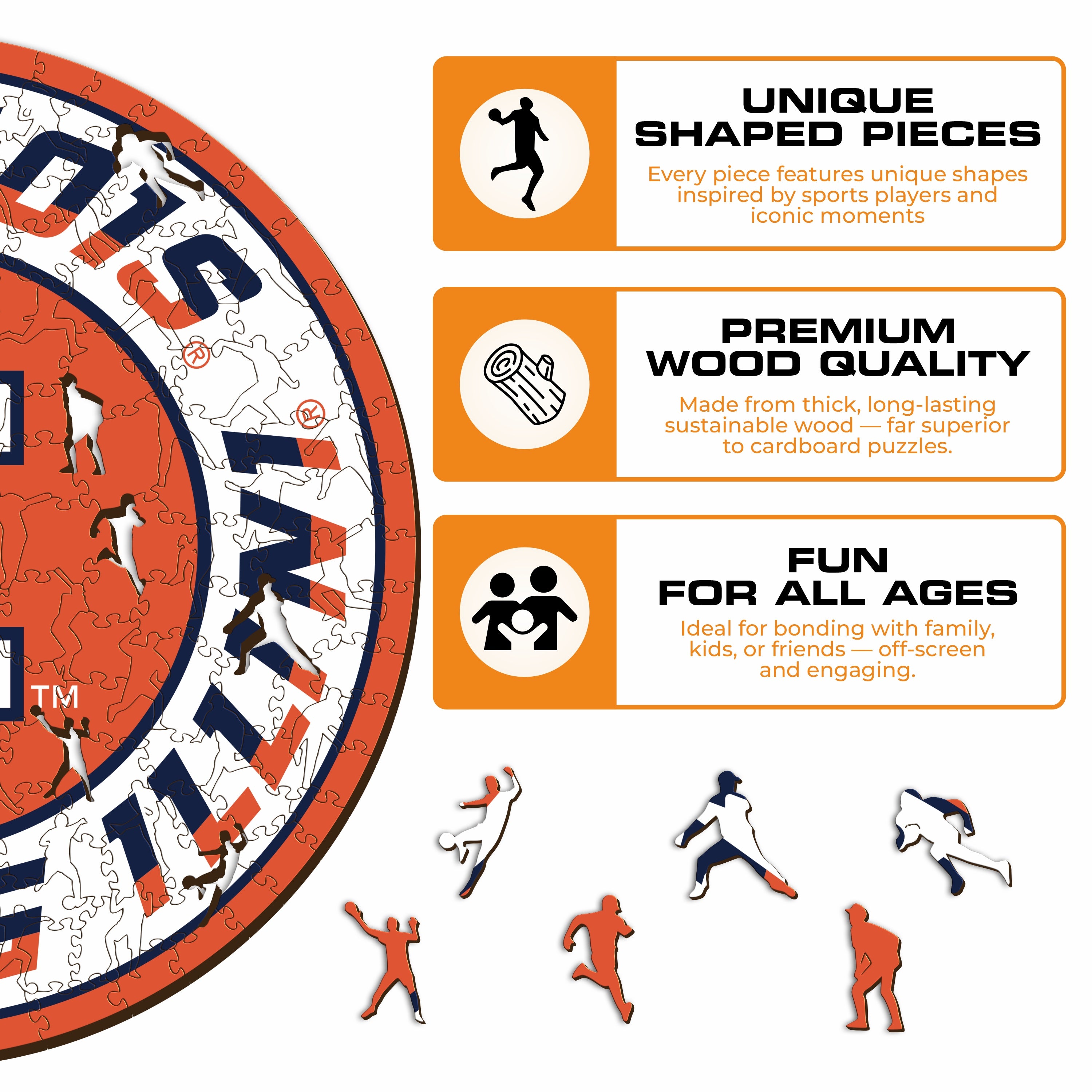 University of Illinois - Wooden Puzzle