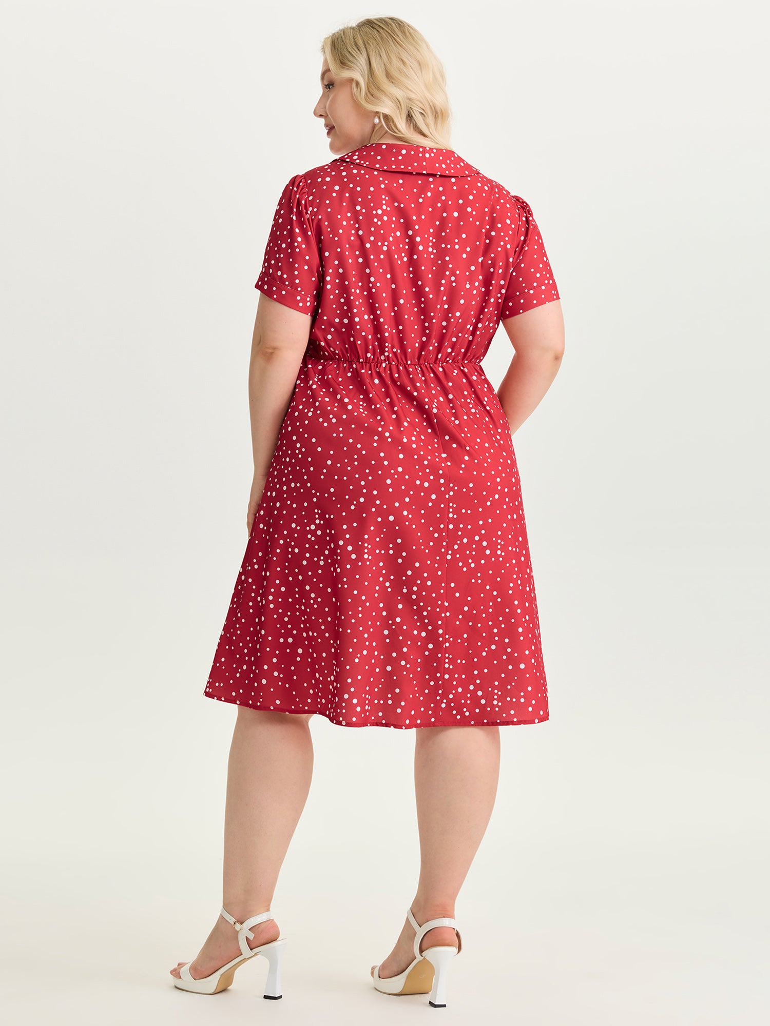 Romantic Floral Print Collar Midi Dress