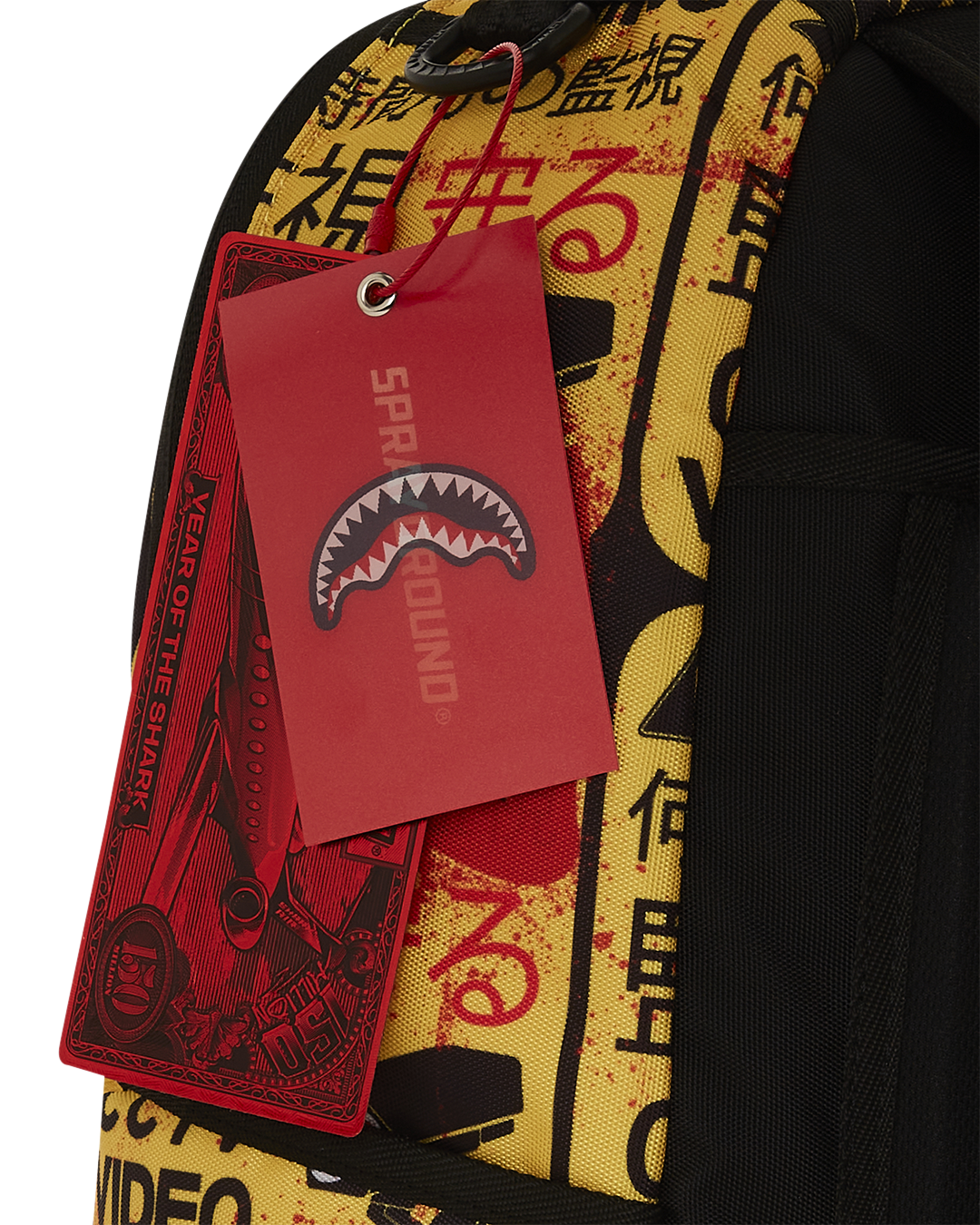 CCTV SECTOR 404 BACKPACK