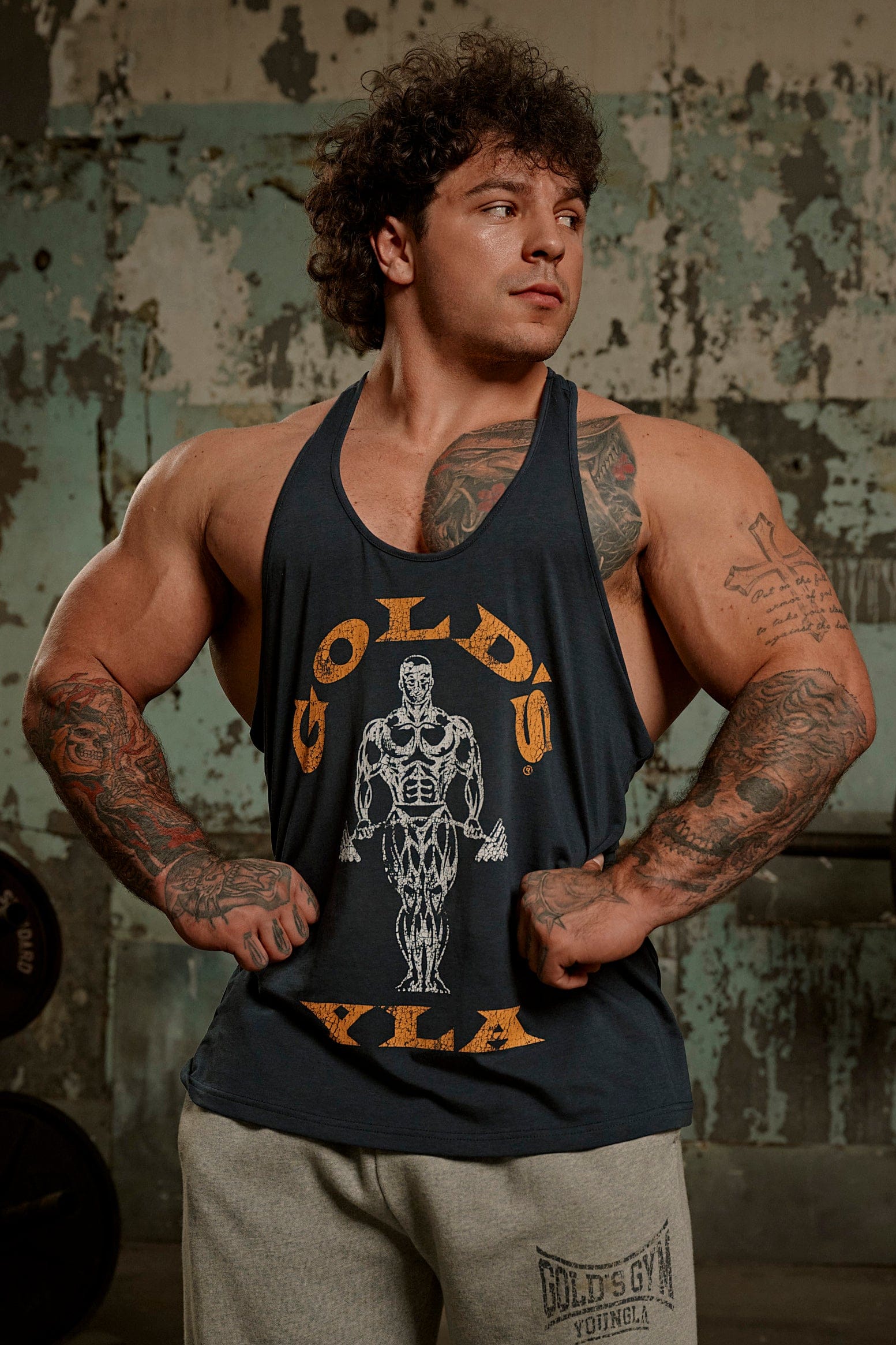3003 - Gold's Iron Legacy Icon Stringers