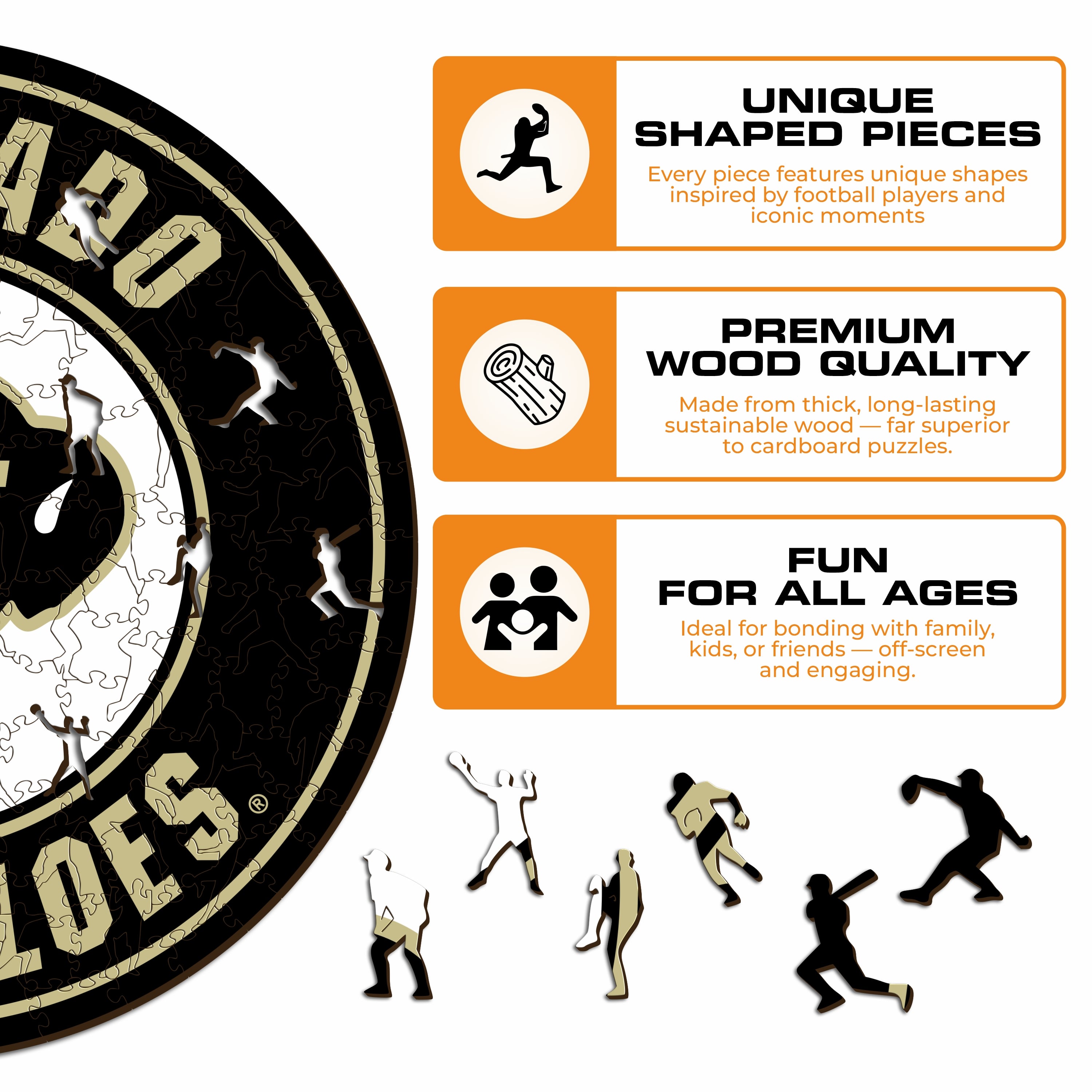 University of Colorado - Wooden Puzzle