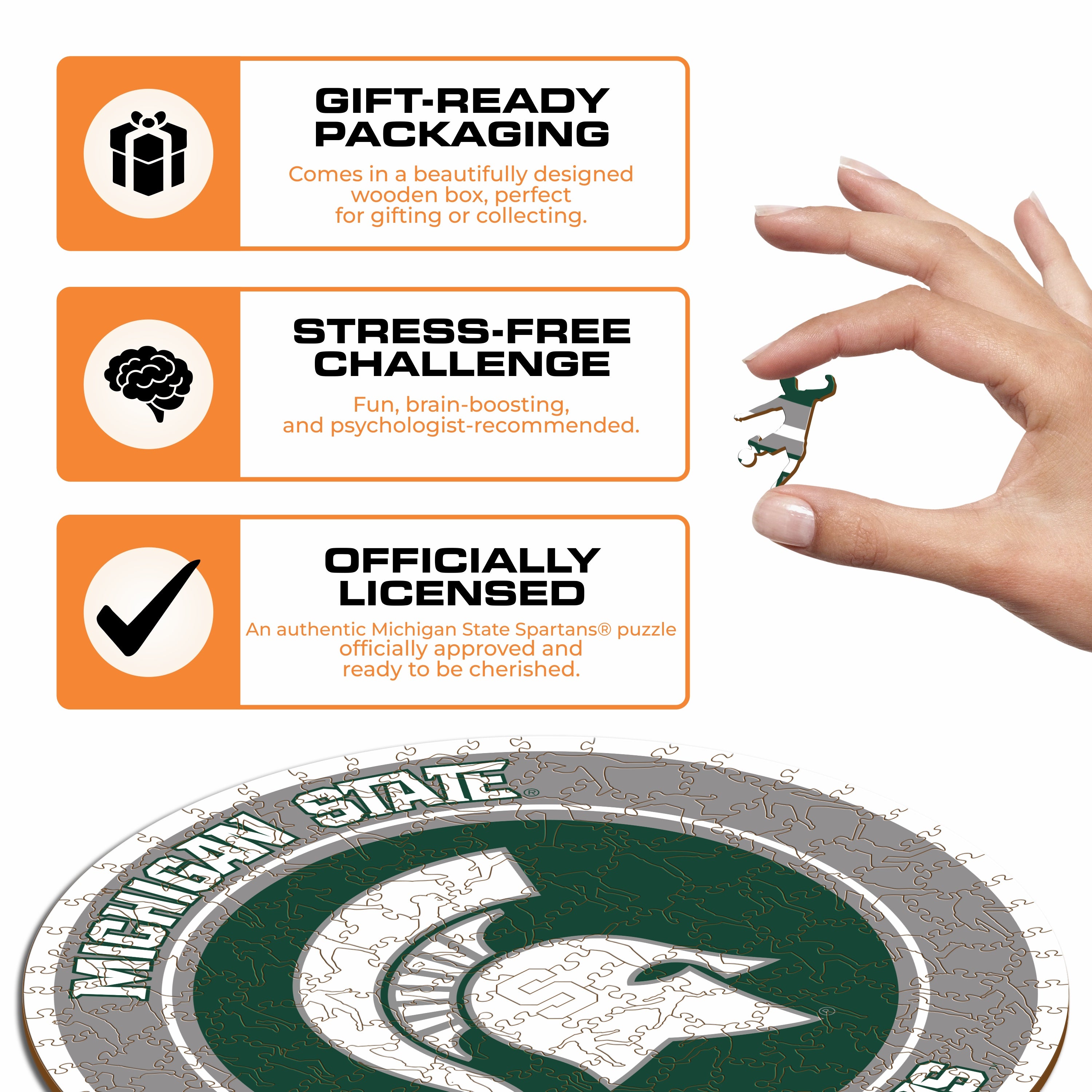Michigan State University - Wooden Puzzle