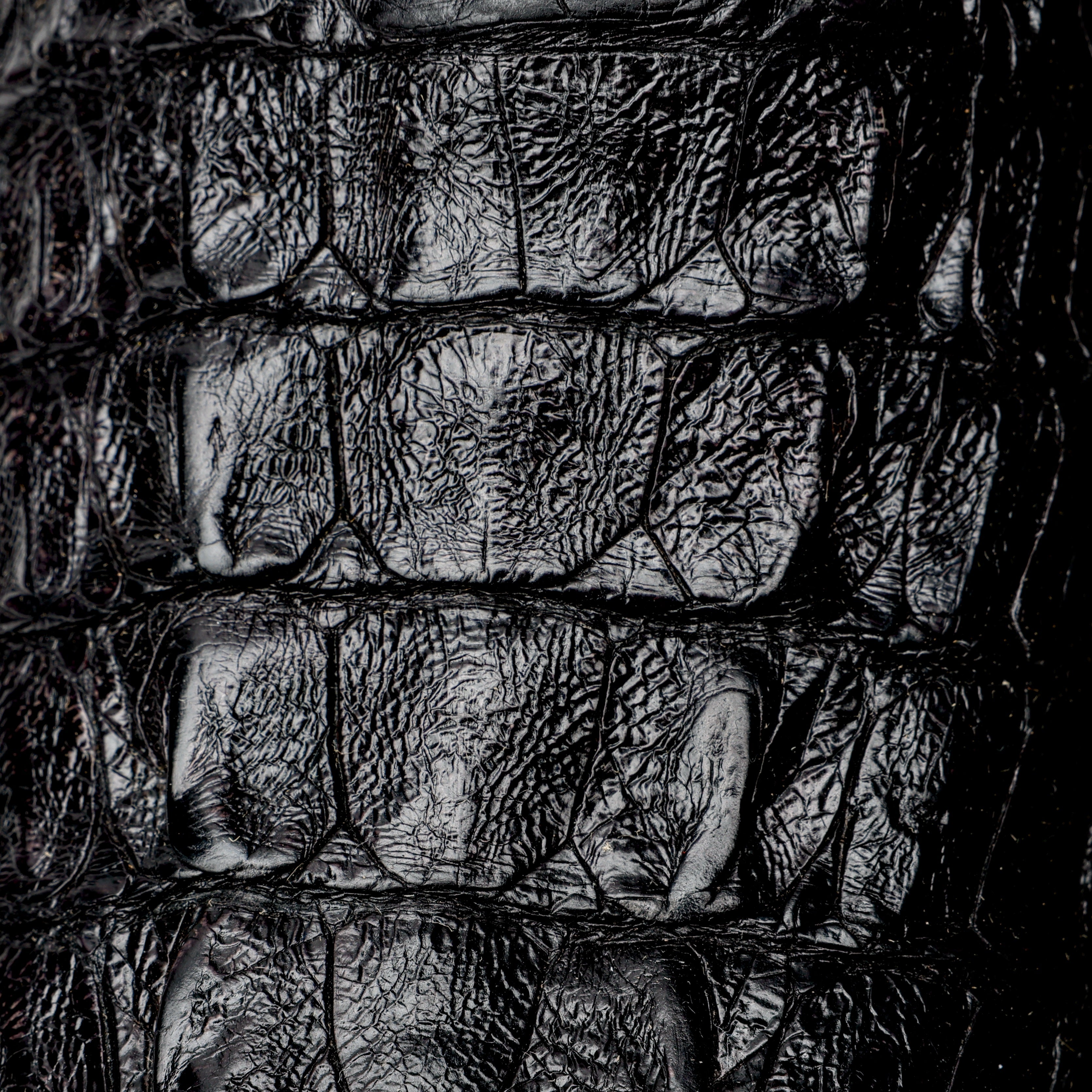 Black GENUINE Caiman Tail Boots - French Toe