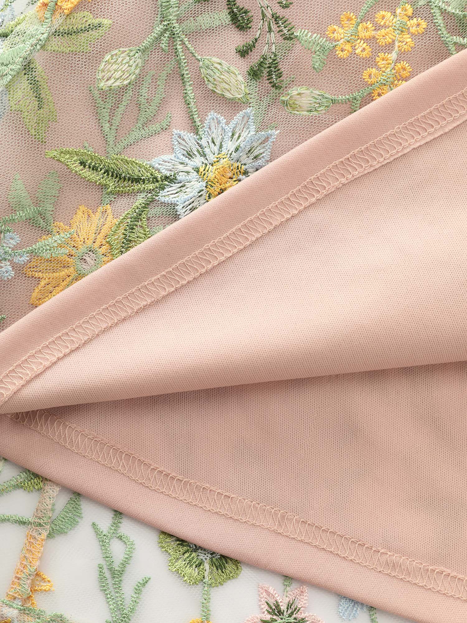 Floral Embroidered Mesh Fit And Flare Mini Dress