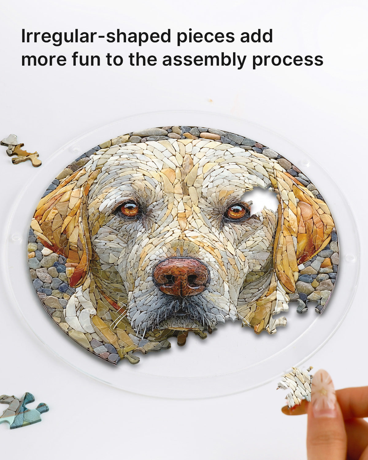 Stone Dog Light Suncatcher-Acrylic Window Art