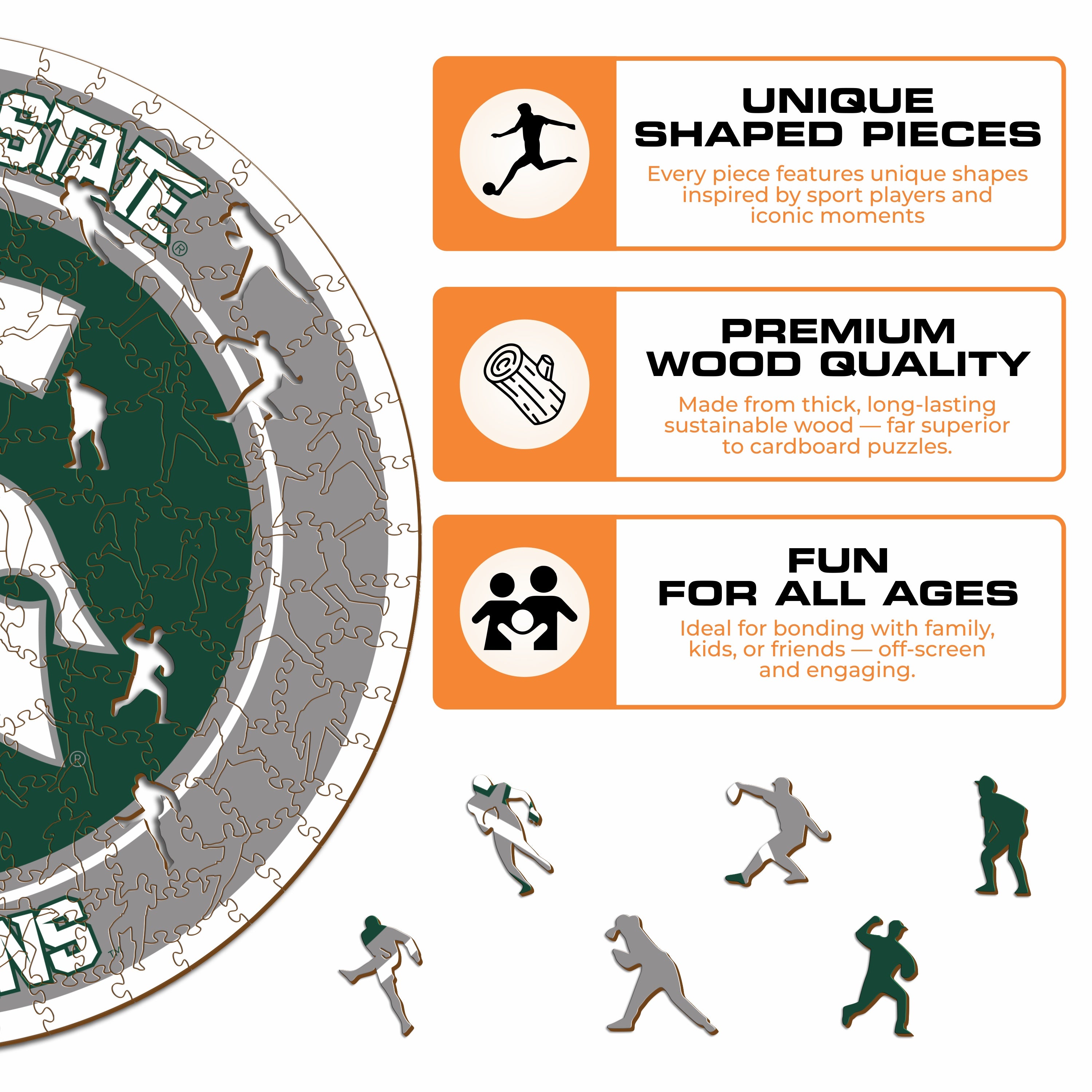 Michigan State University - Wooden Puzzle