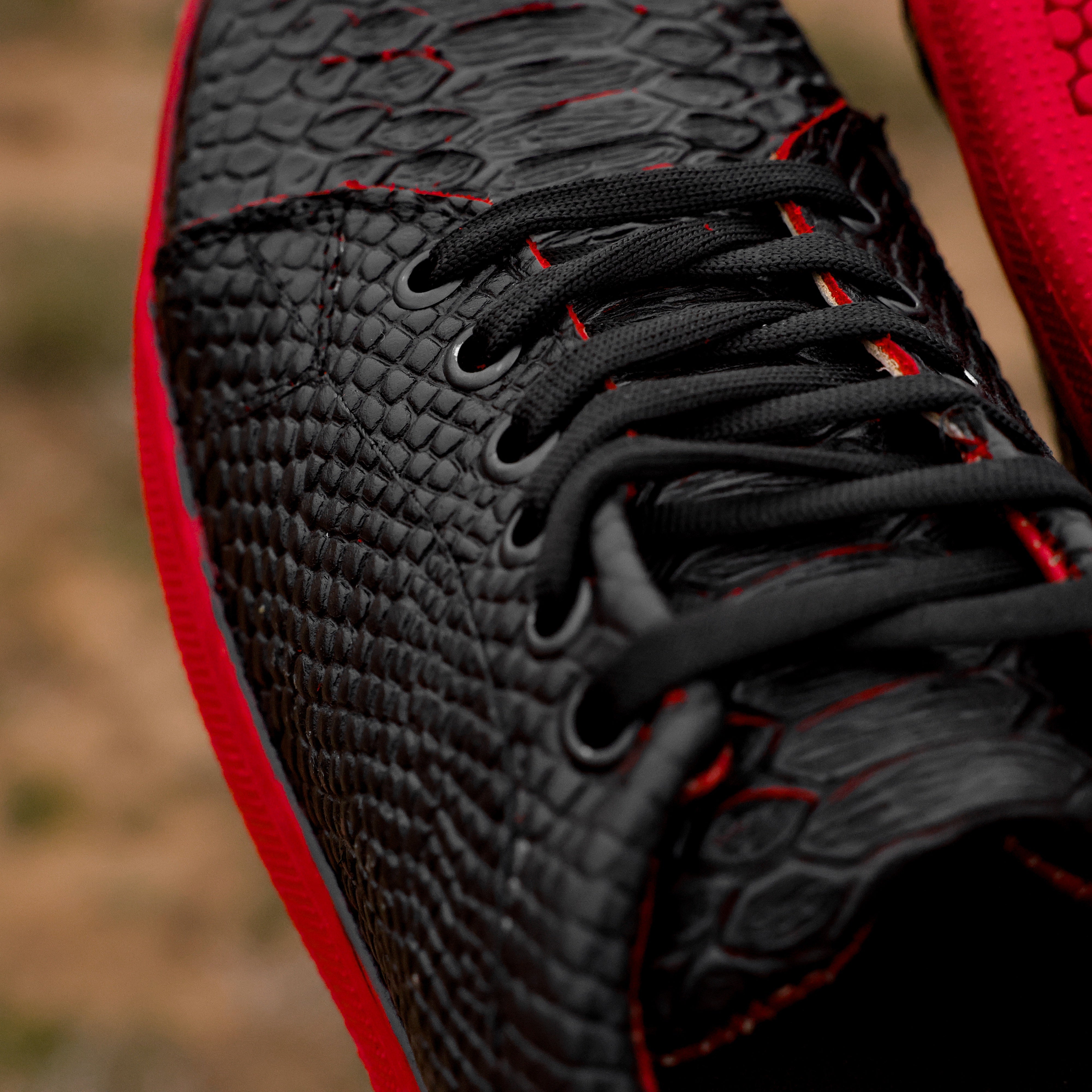 Black Cherry Python Leather Shoes