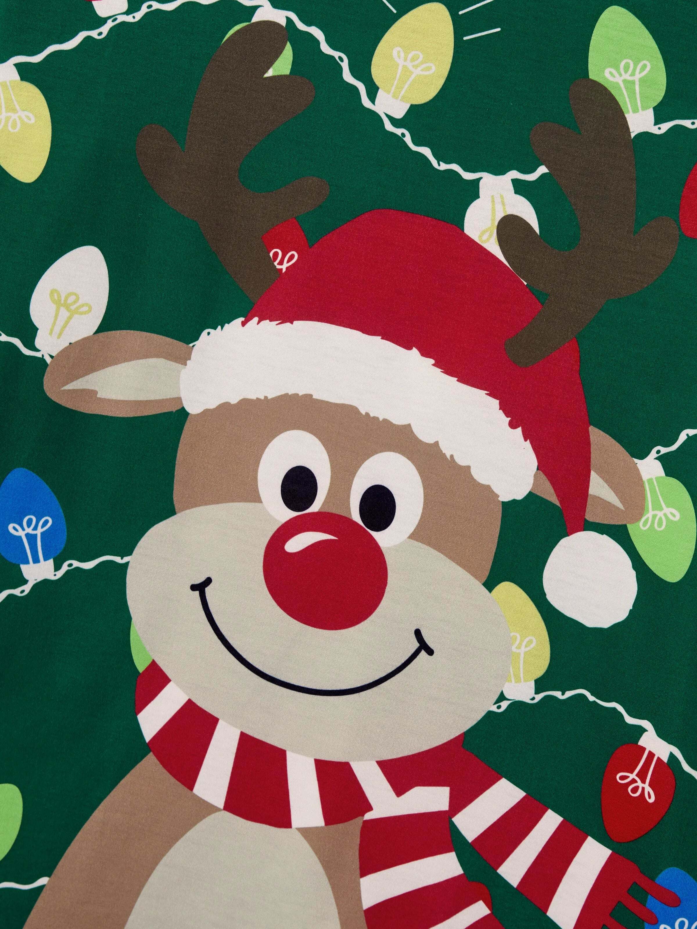Christmas Matching Family Pajamas Set Reindeer Green Print PJS with Christmas Socks Green