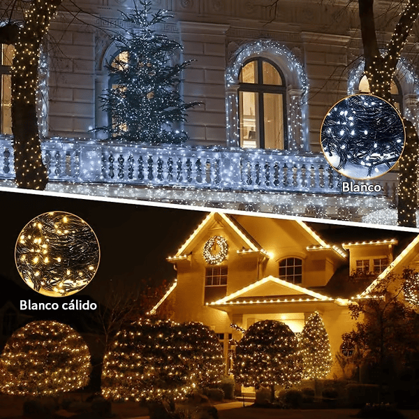 🎄Outdoor and Indoor Christmas Lights