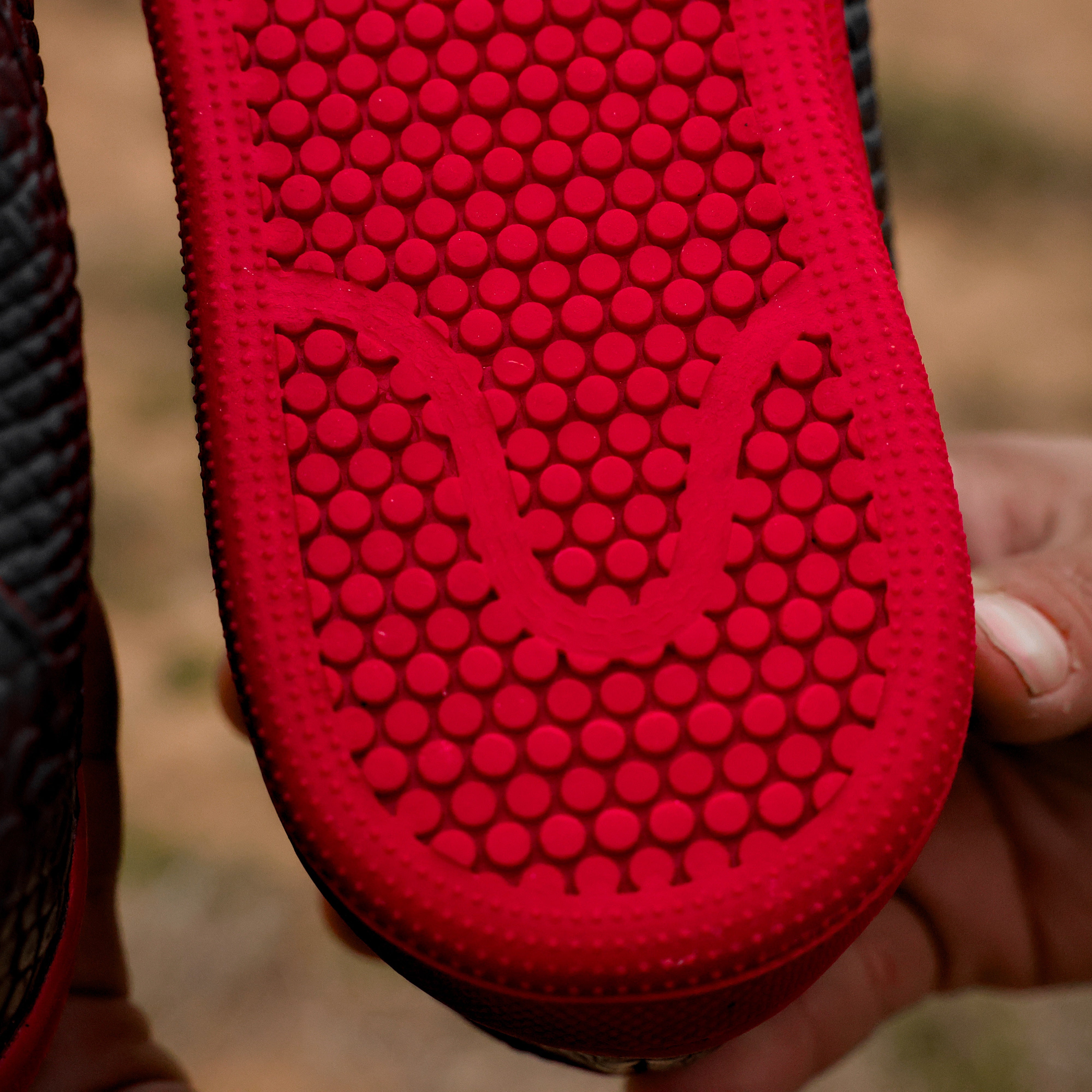 Black Cherry Python Leather Shoes