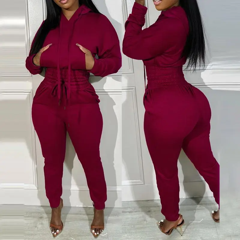 Womens 2 Piece Outfits Lounge Hoodie Shirred Waist Pocket Design Sweatshirt Cuffed Jogger Sweatpants Tracksuit