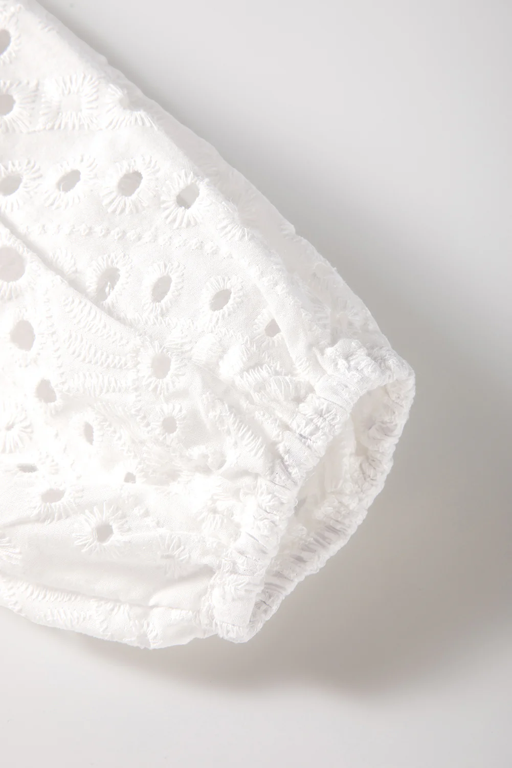 Eyelet Embroidered Puff Sleeve V Neck Blouse