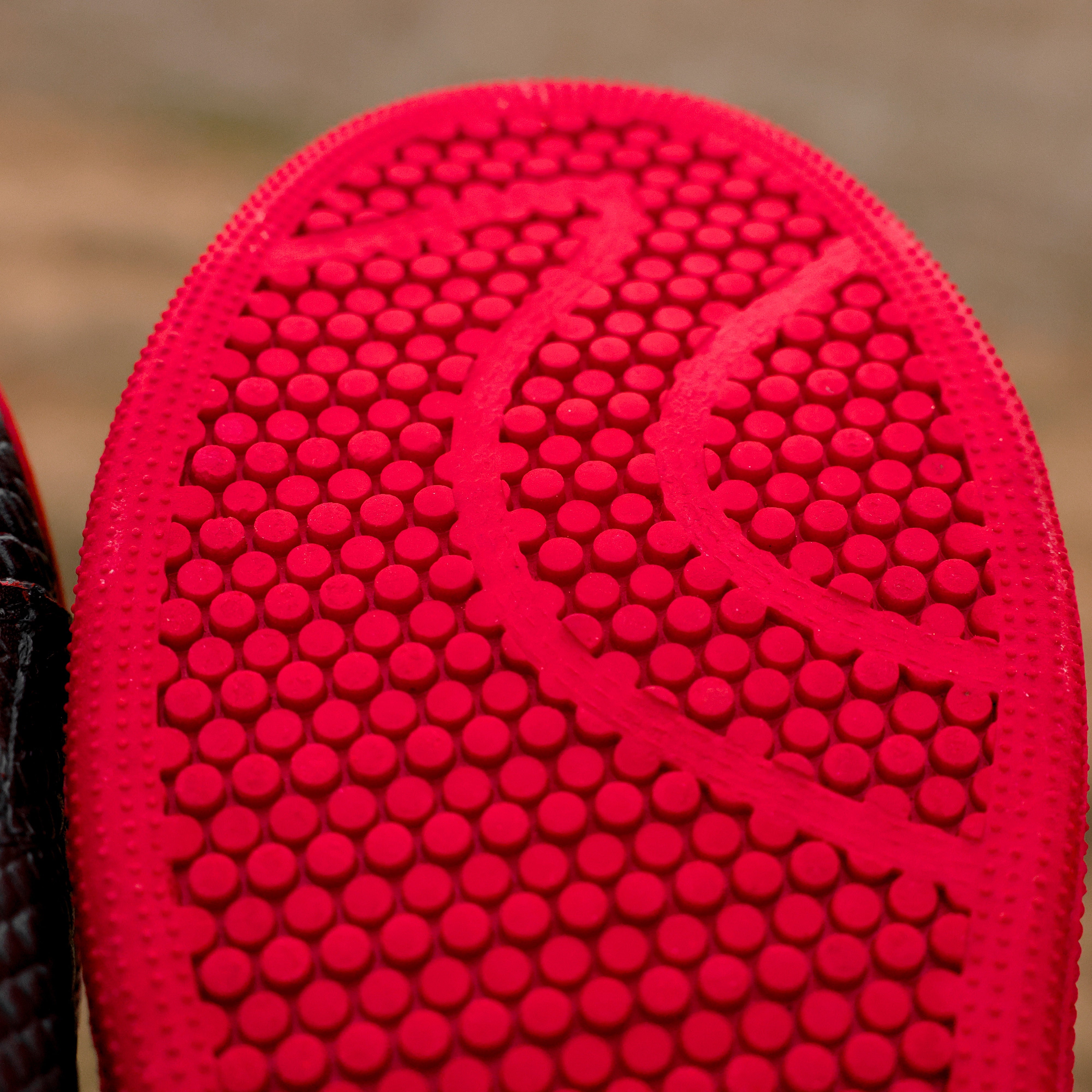 Black Cherry Python Leather Shoes