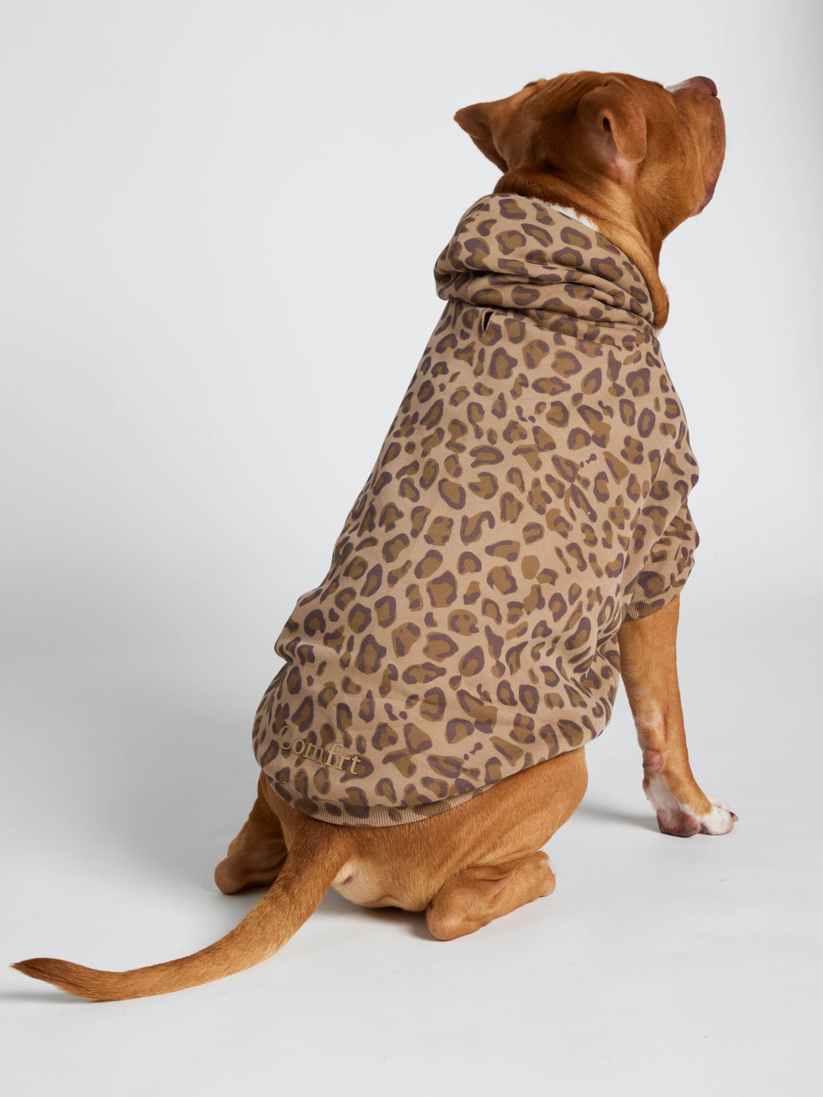 Minimalist Paw Hoodie