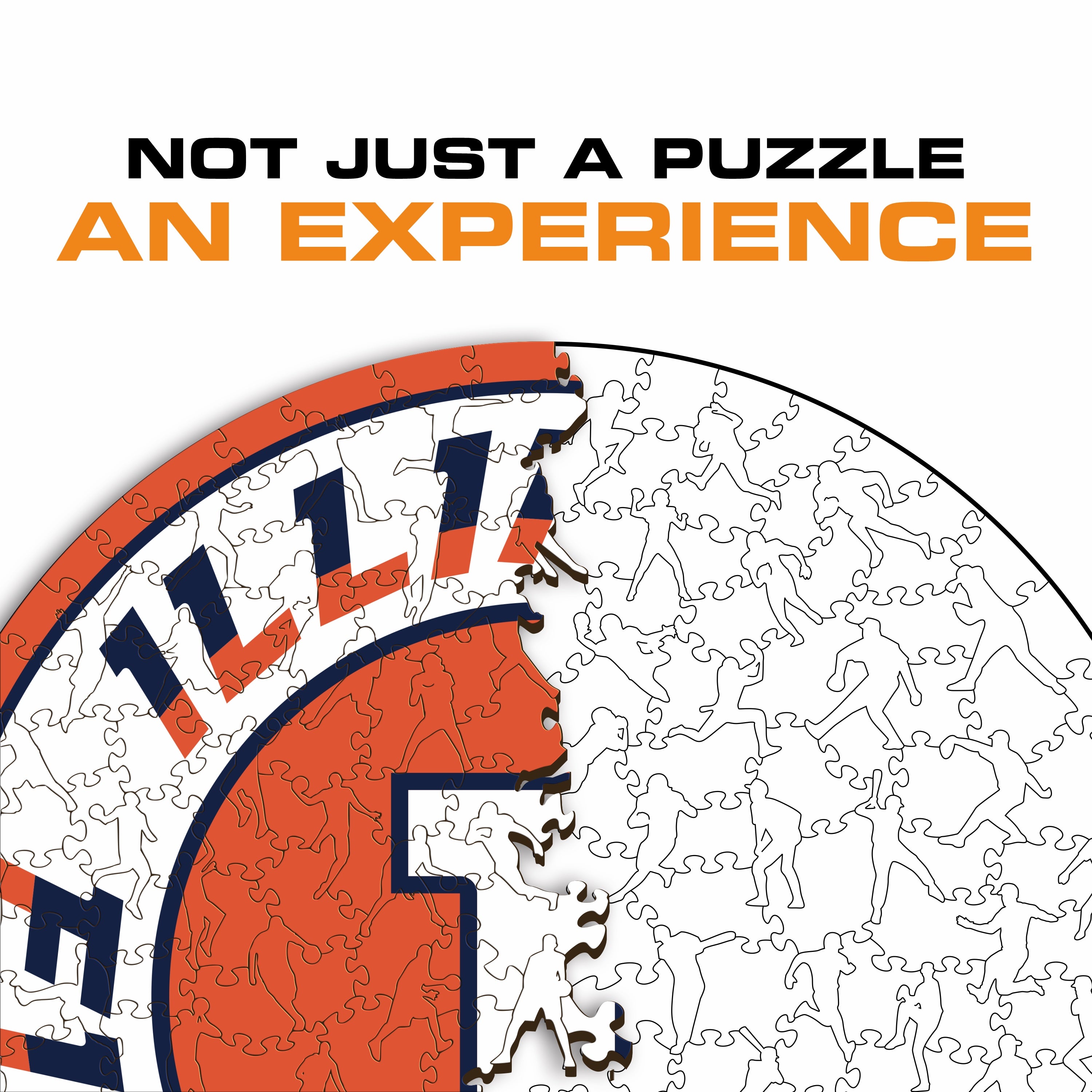 University of Illinois - Wooden Puzzle