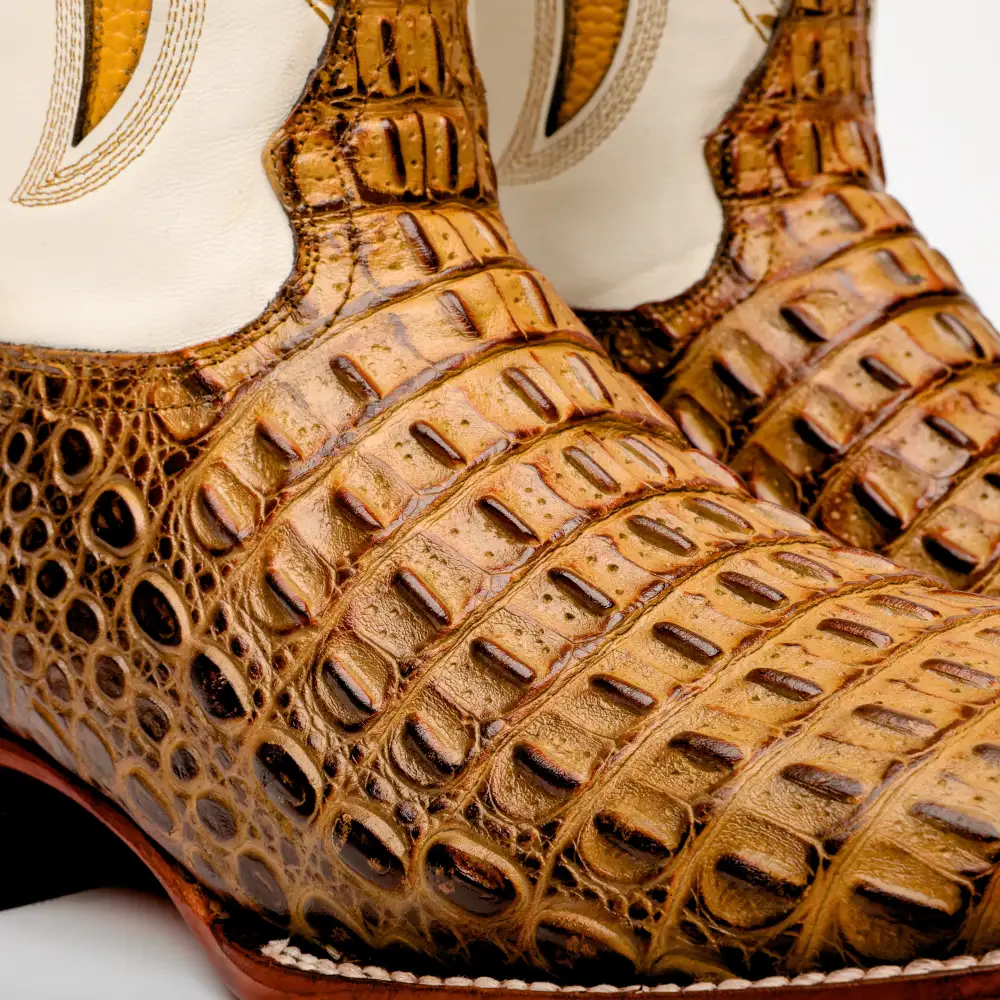 Honey Caiman Hornback Leather Boots - Square Toe
