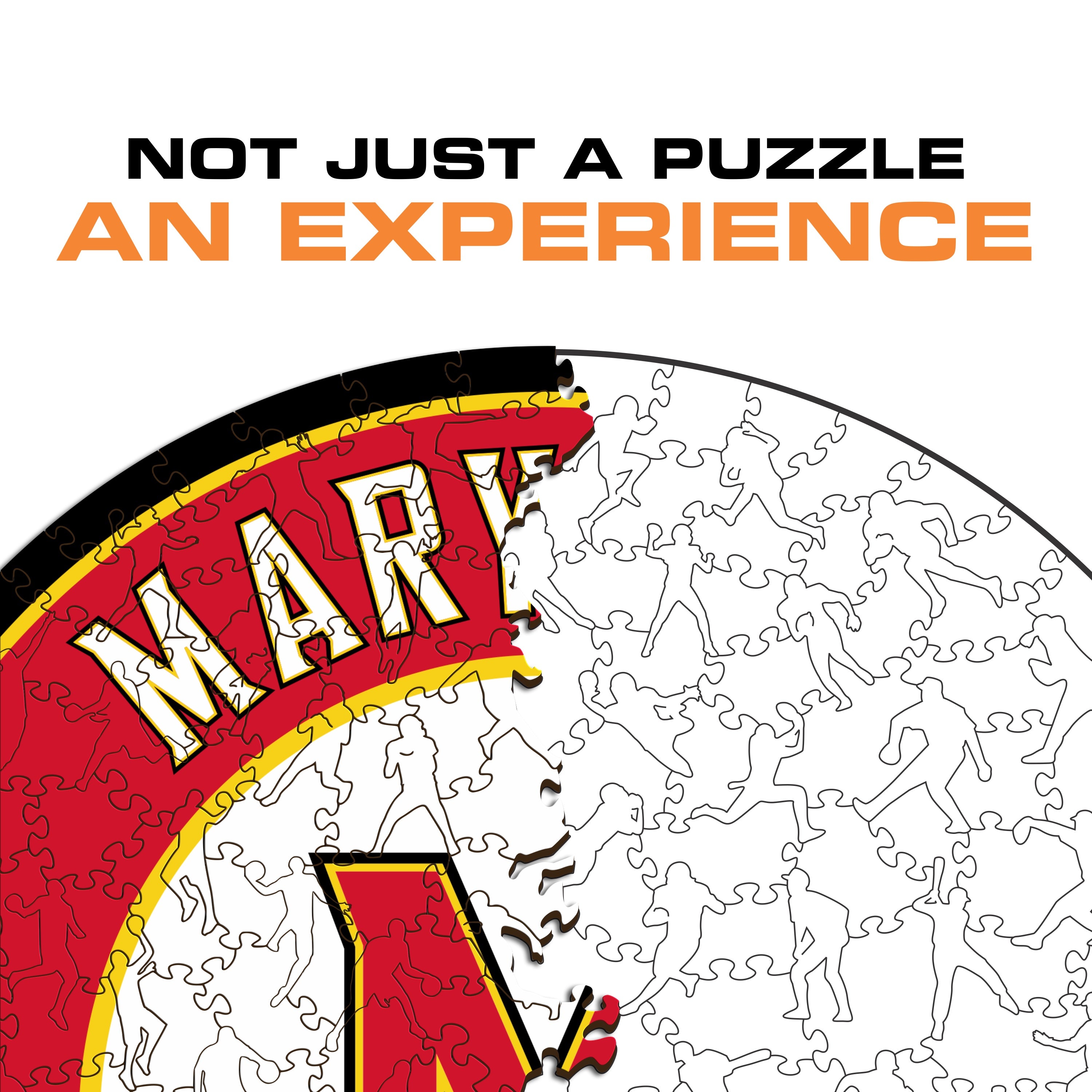University of Maryland - Wooden Puzzle