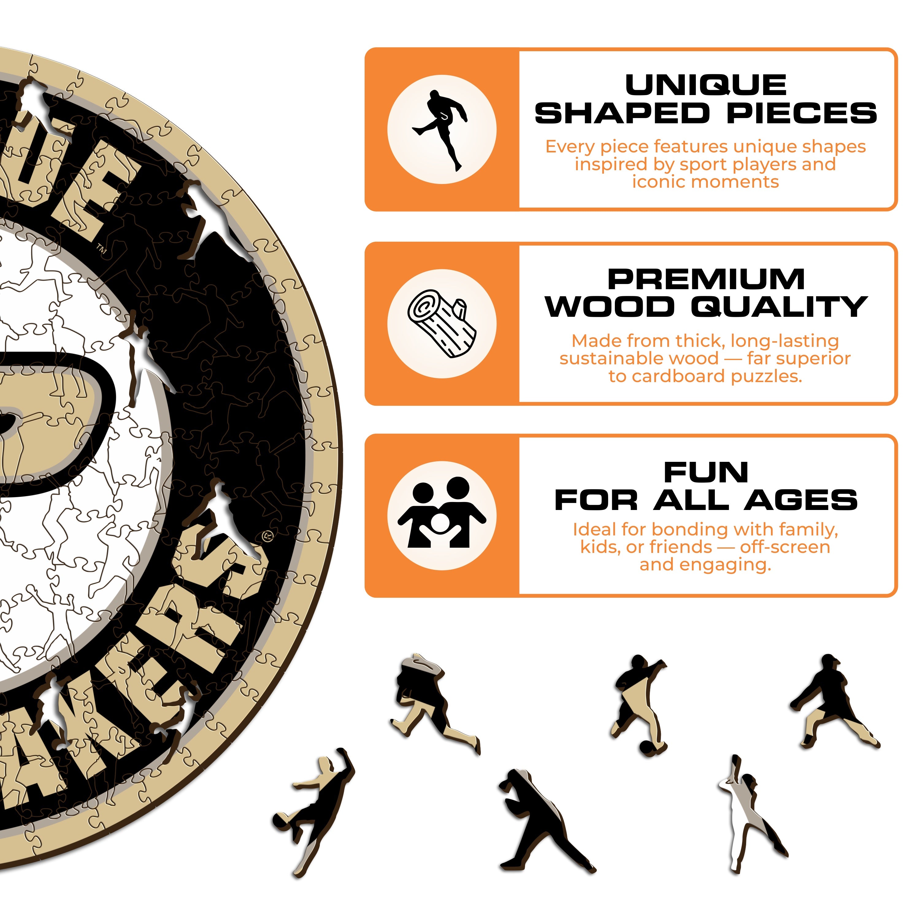 Purdue University - Wooden Puzzle