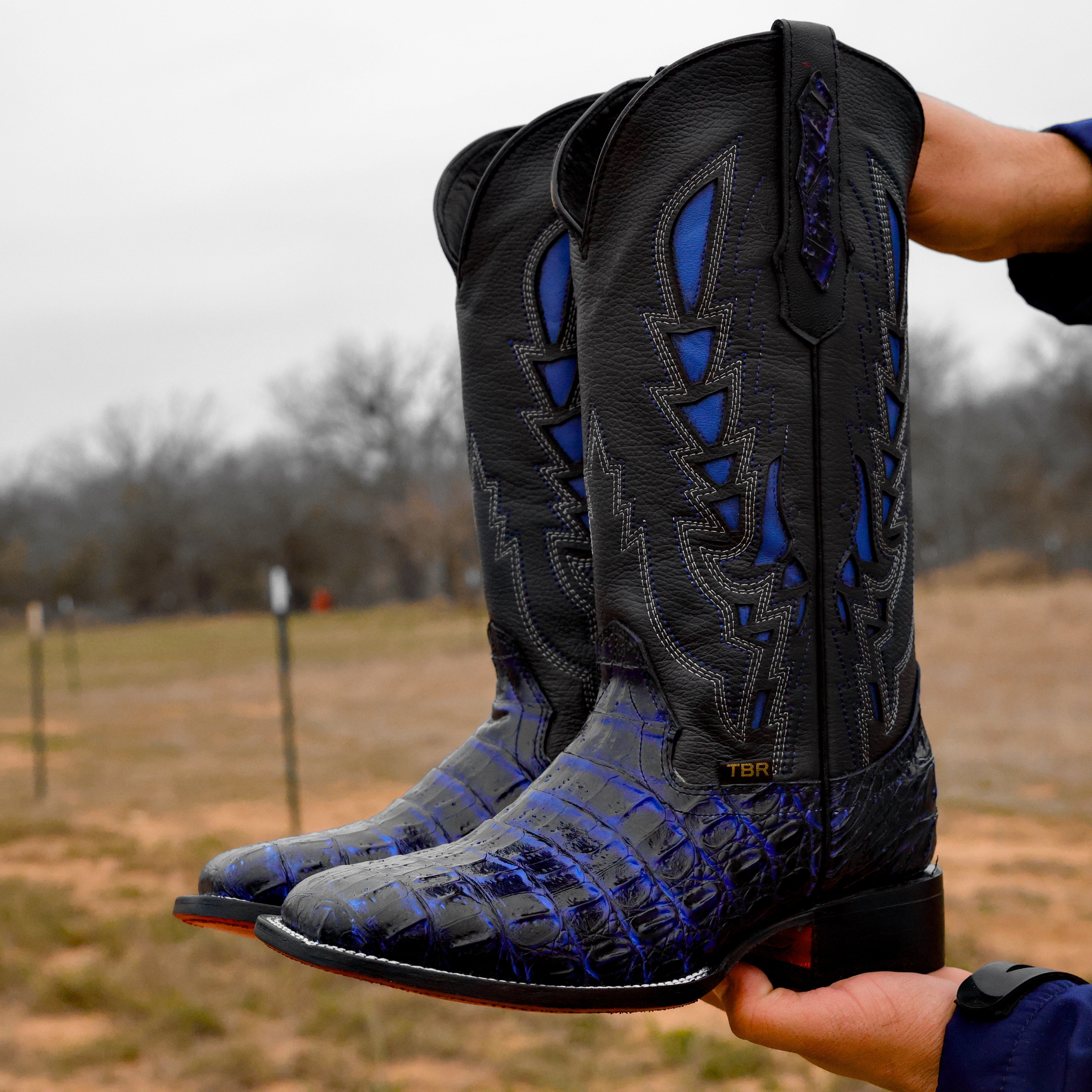 Black/Royal Blue Caiman Hornback Leather Boots - Square Toe