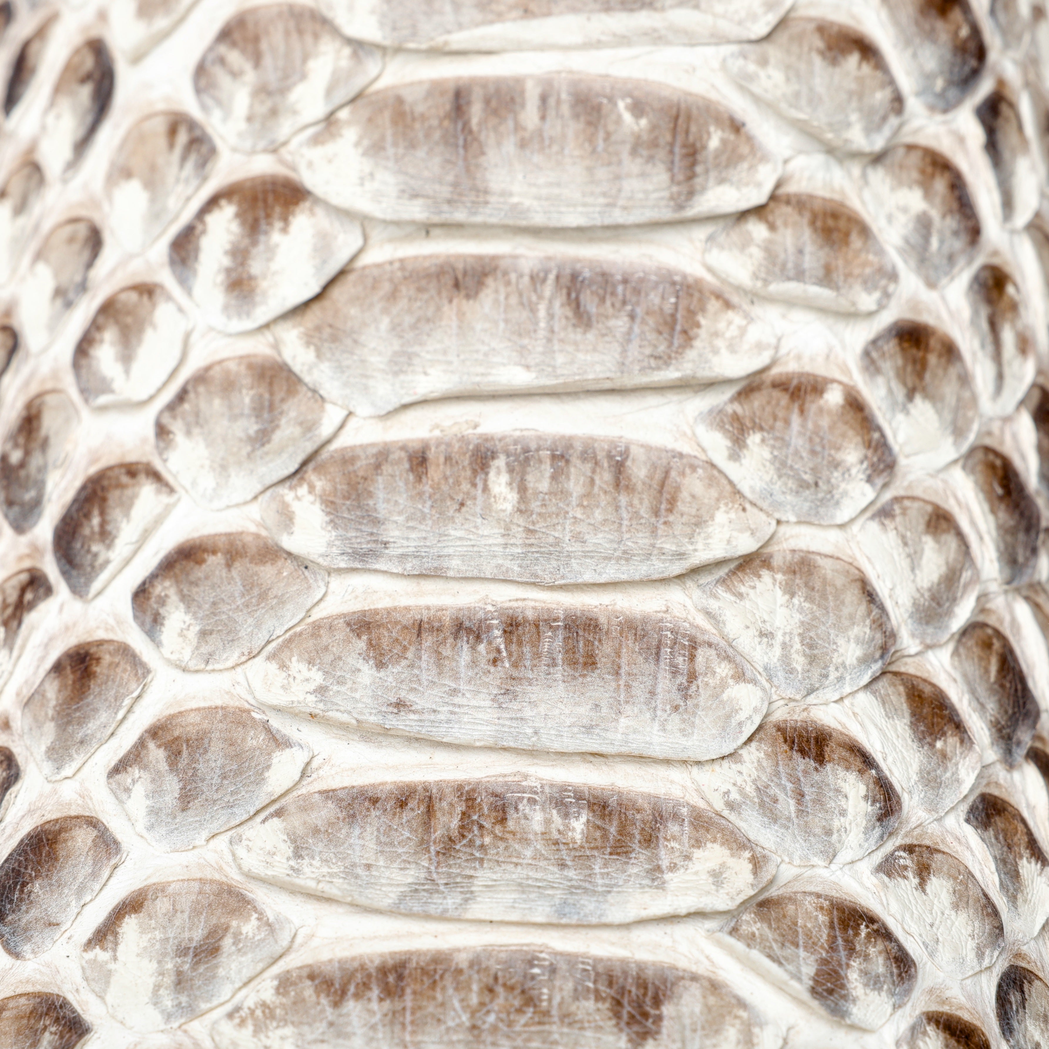 Genuine Natural Python Boots - Square Toe