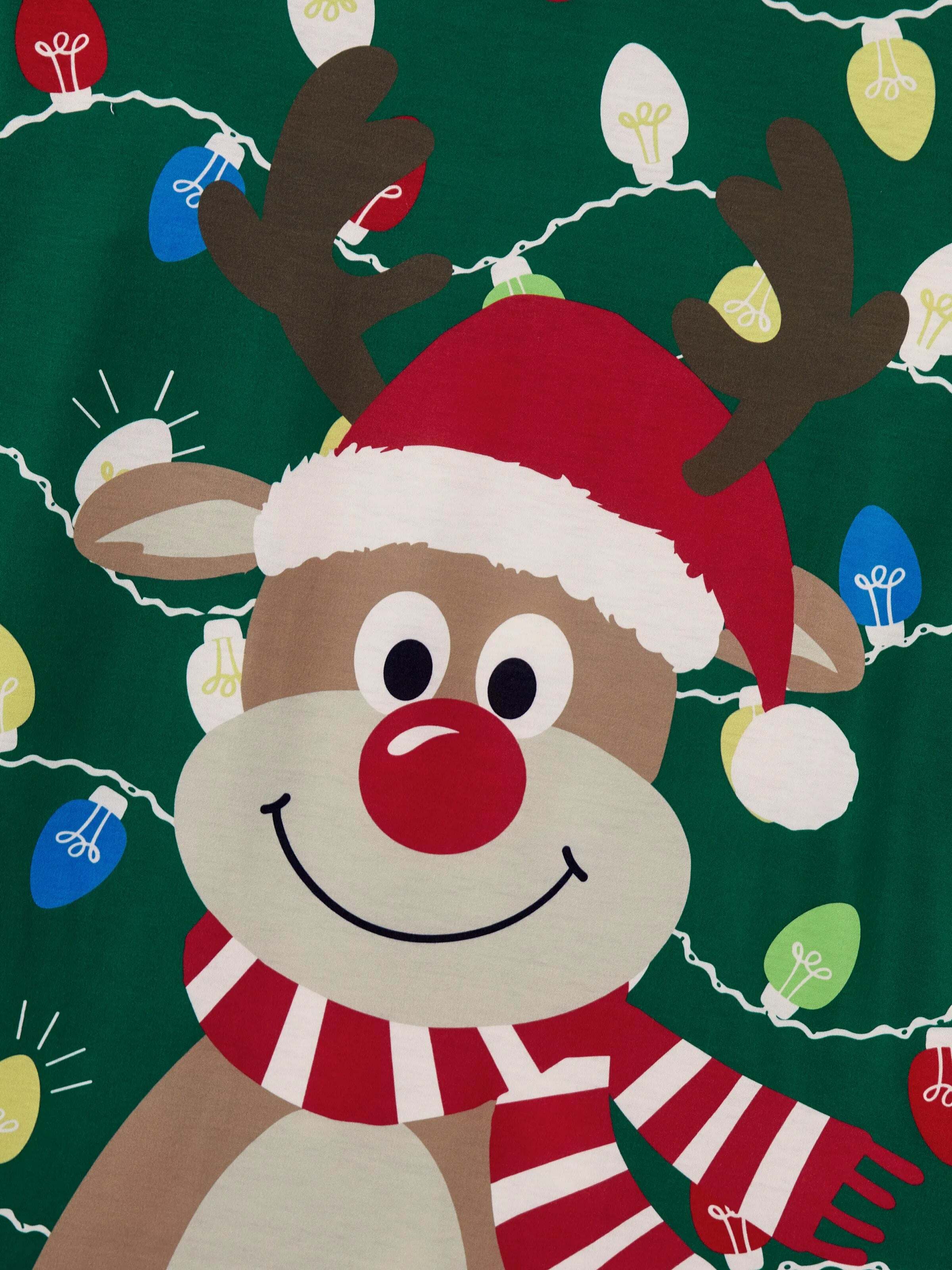 Christmas Matching Family Pajamas Set Reindeer Green Print PJS with Christmas Socks Green
