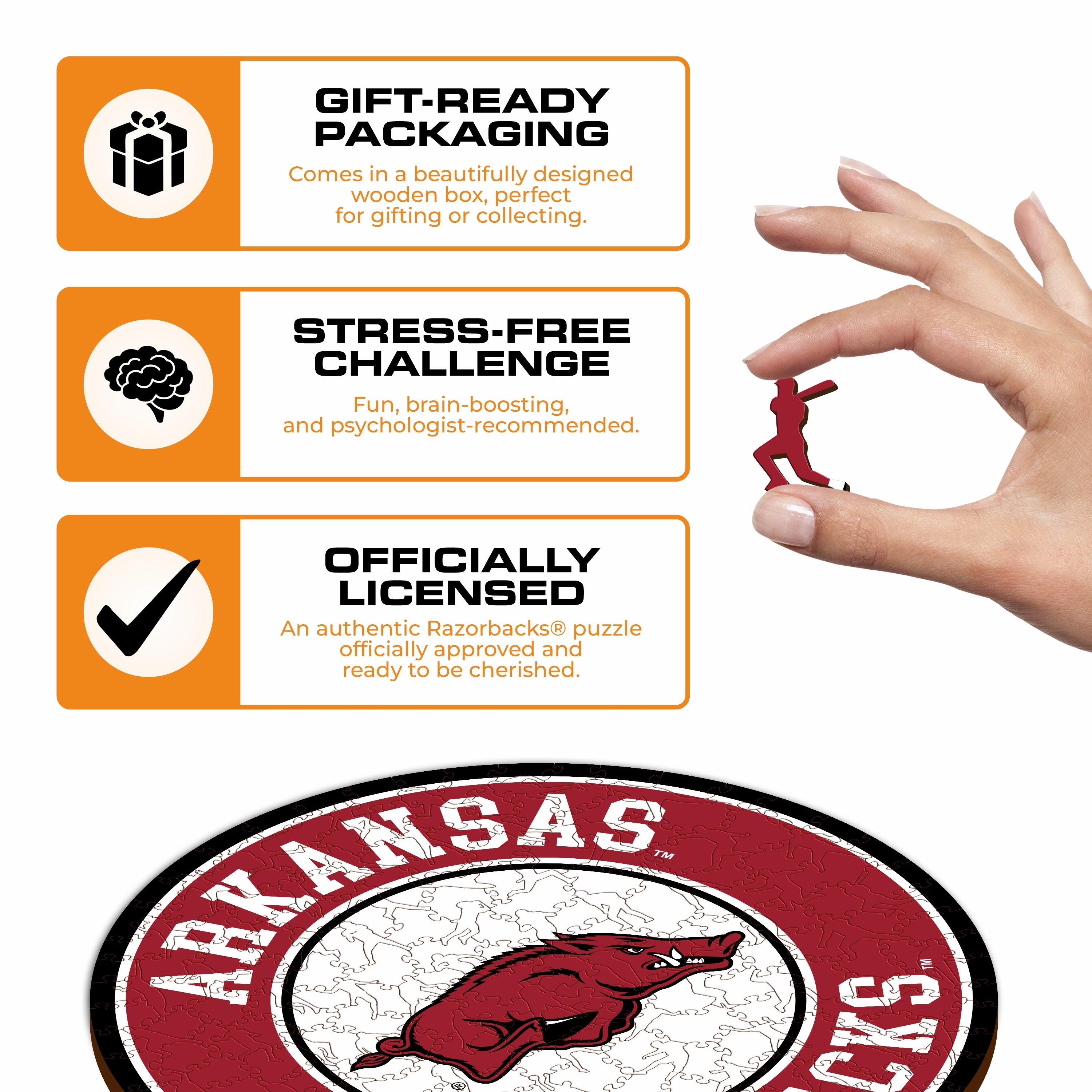 University of Arkansas - Wooden Puzzle