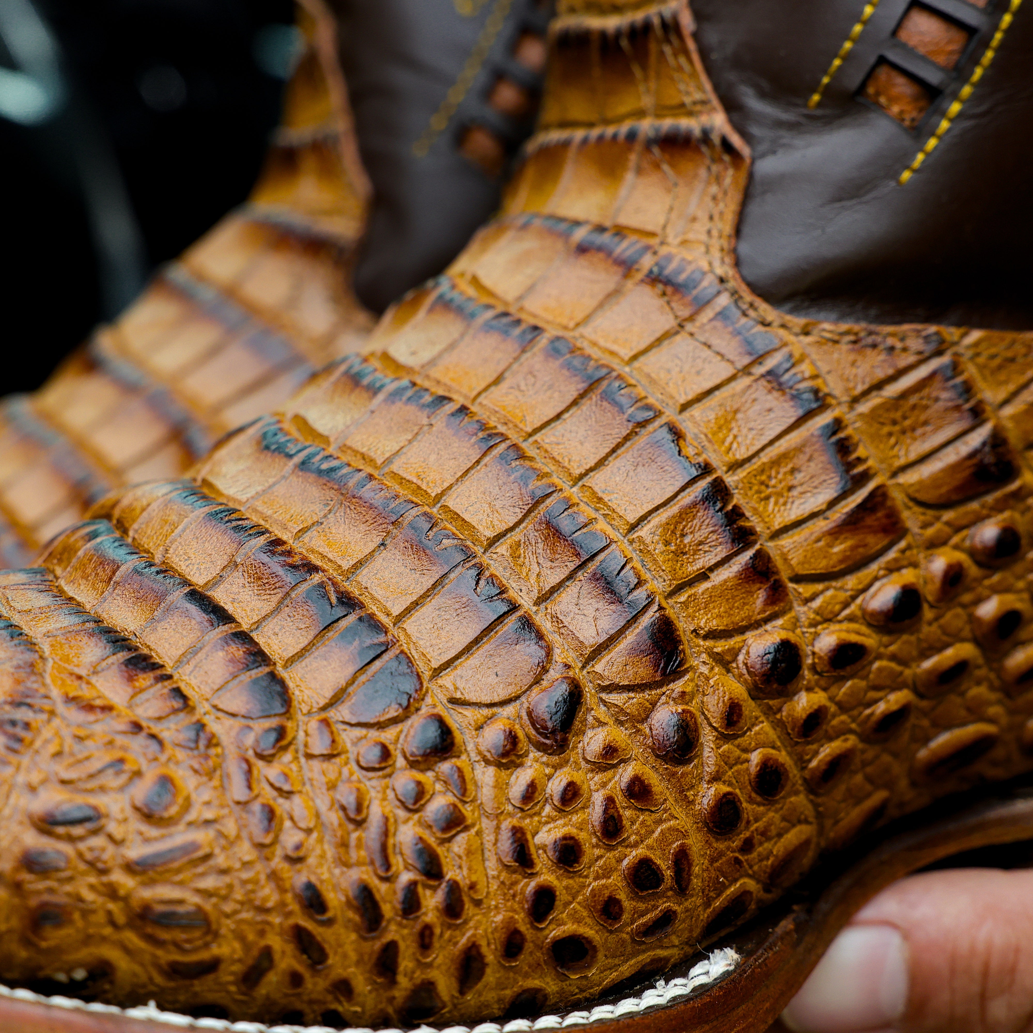 Honey Caiman Belly Leather Boots - Square Toe