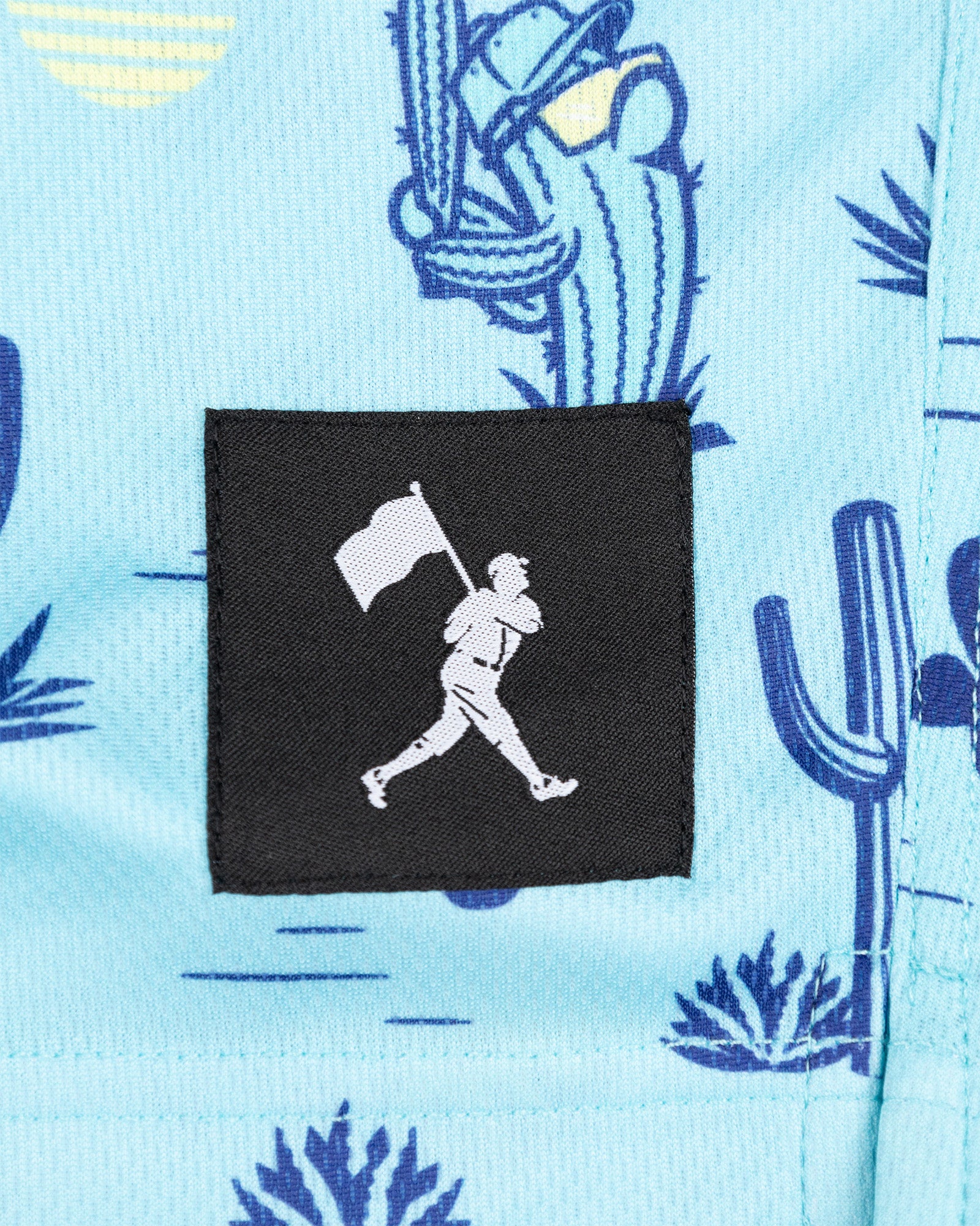 Spring Ball Cactus Diamond Air Mesh Shorts (Teal) - Youth