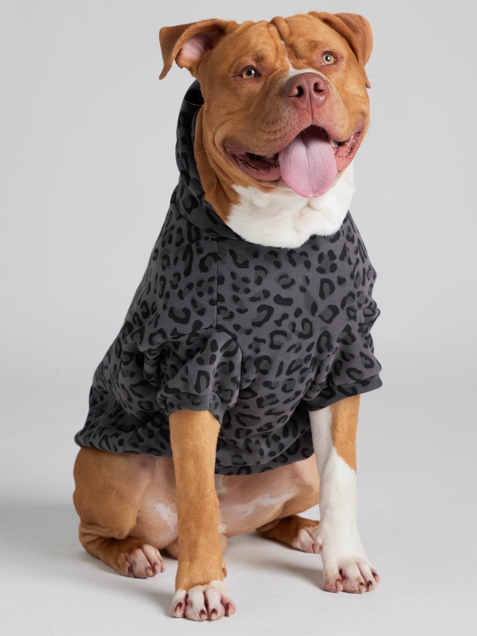 Minimalist Paw Hoodie