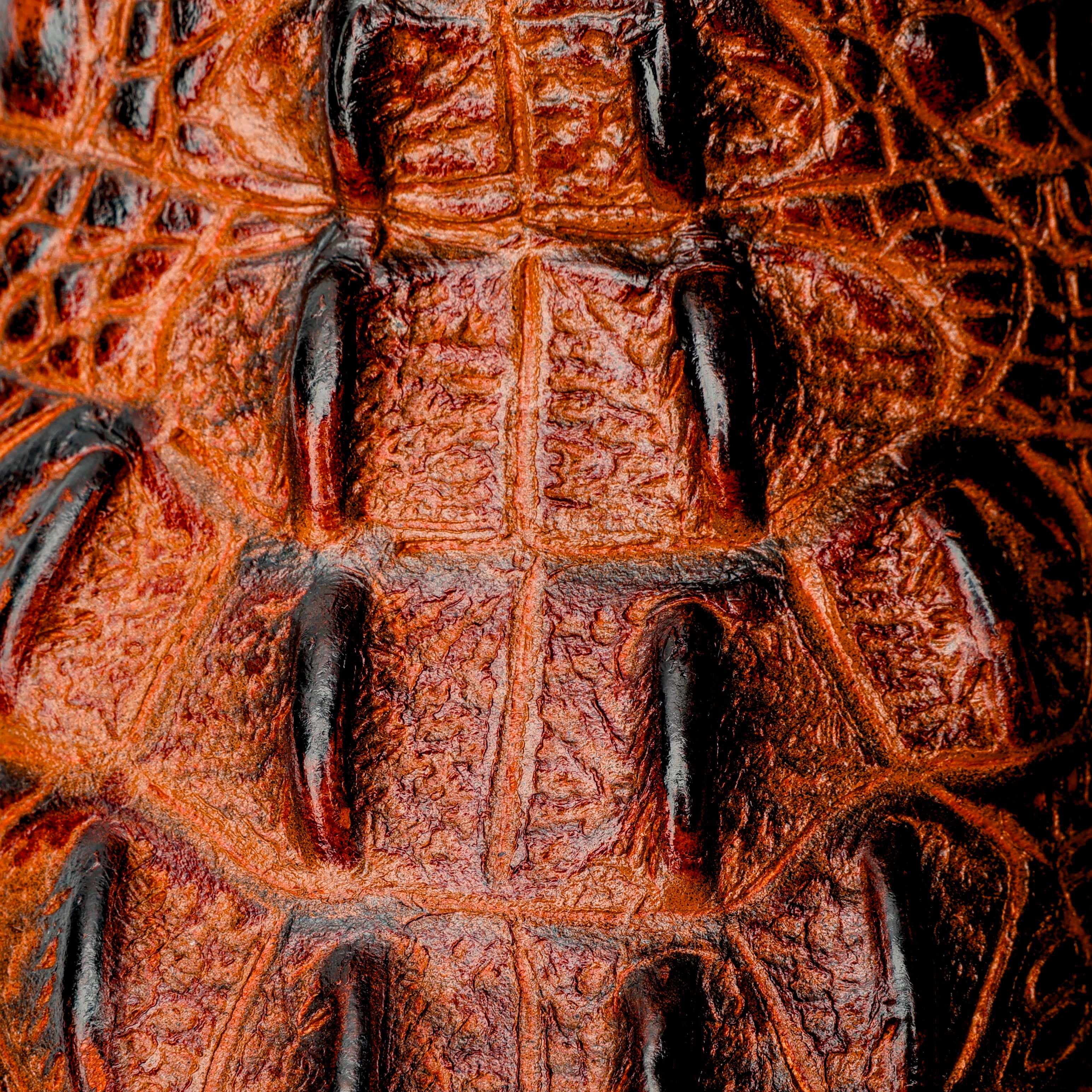 Cognac Caiman Neck Leather Boots - Square Toe